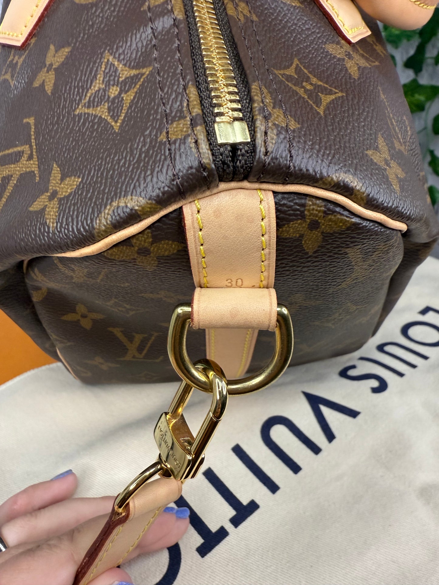 Louis Vuitton Speedy Bandouliere 30 Monogram