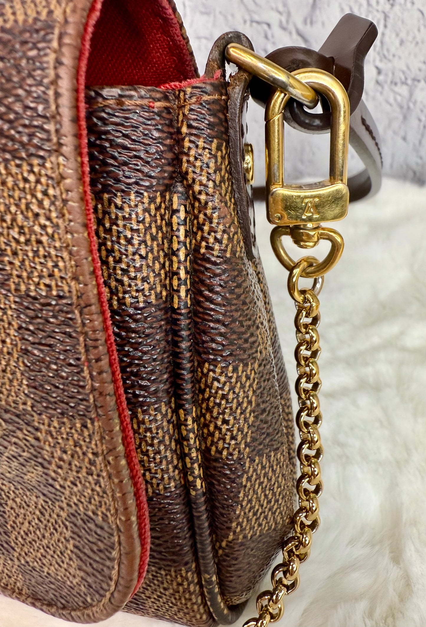 Louis Vuitton Damier Ebene Favorite PM