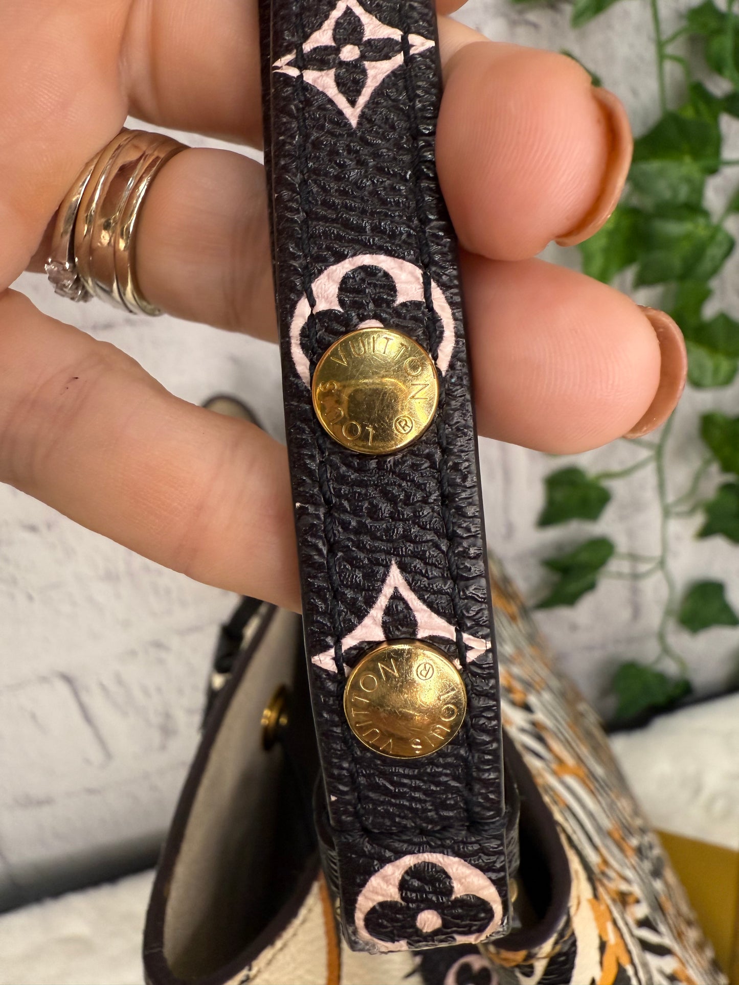 Louis Vuitton Limited Edition Jungle Neo Noe