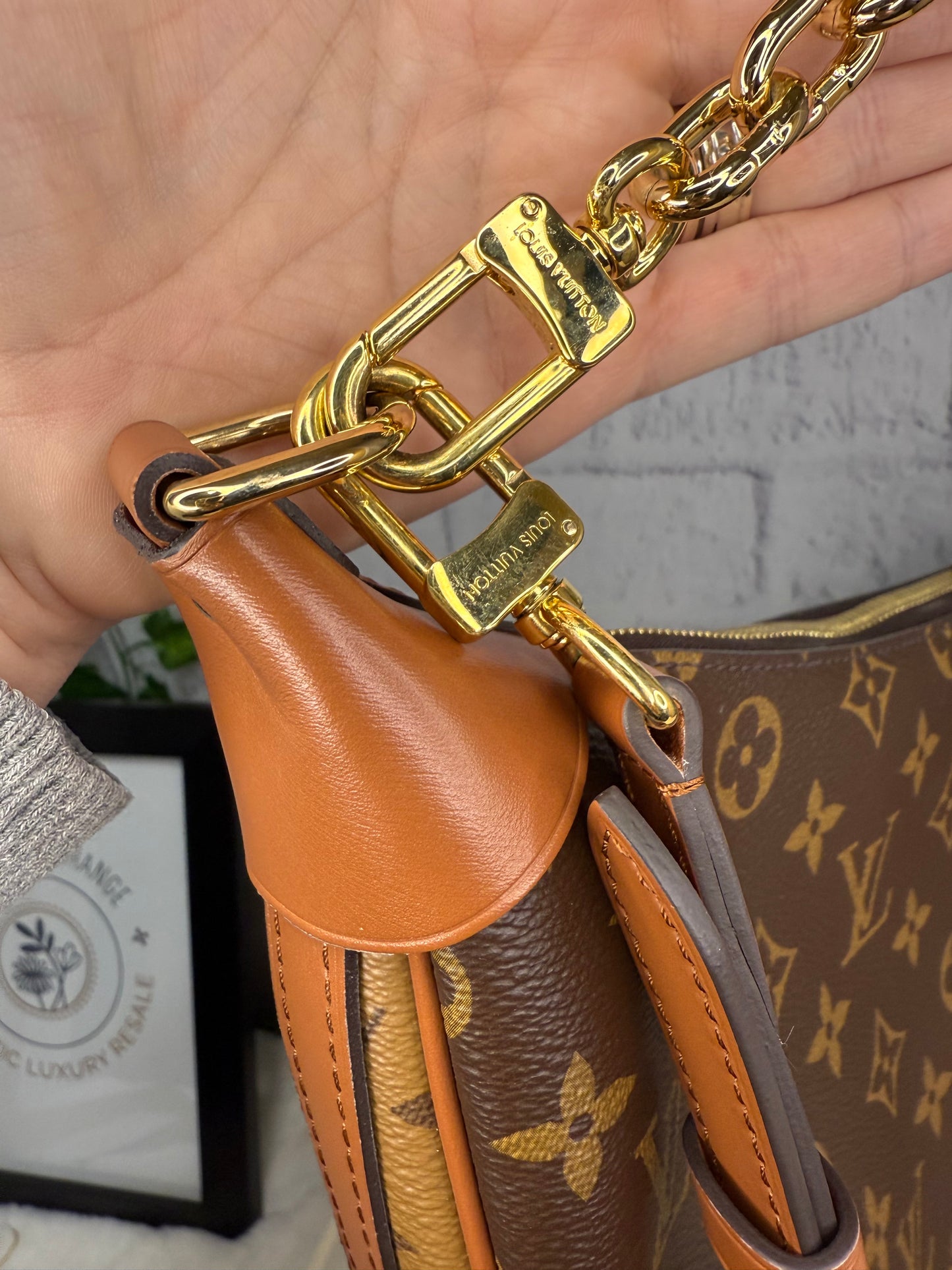 Louis Vuitton Loop Hobo Monogram Reverse with Pouch