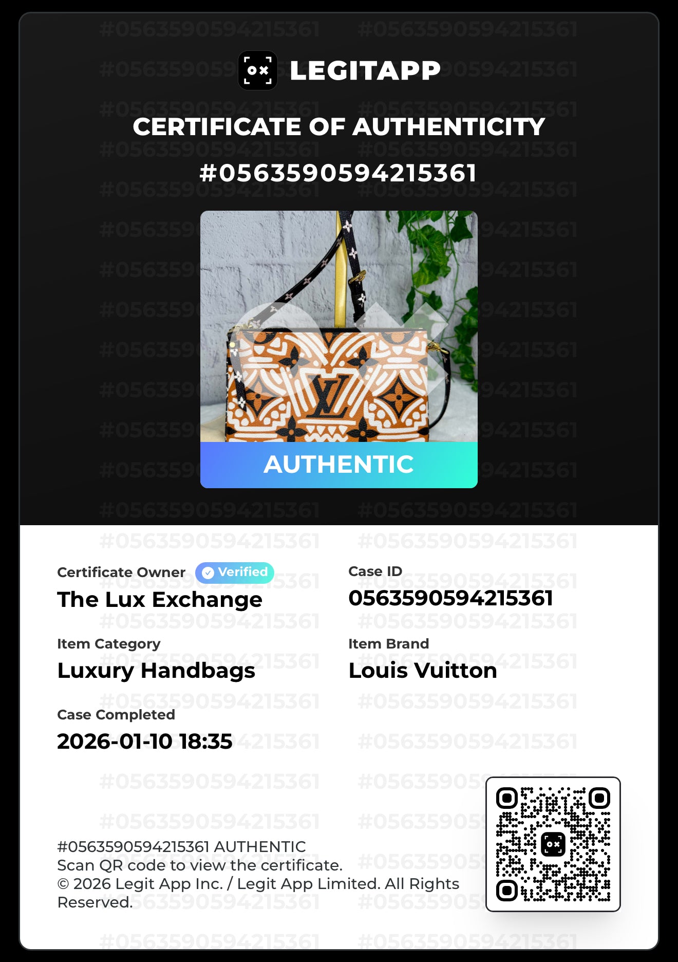 Louis Vuitton Limited Edition Crafty Double Zip Pochette