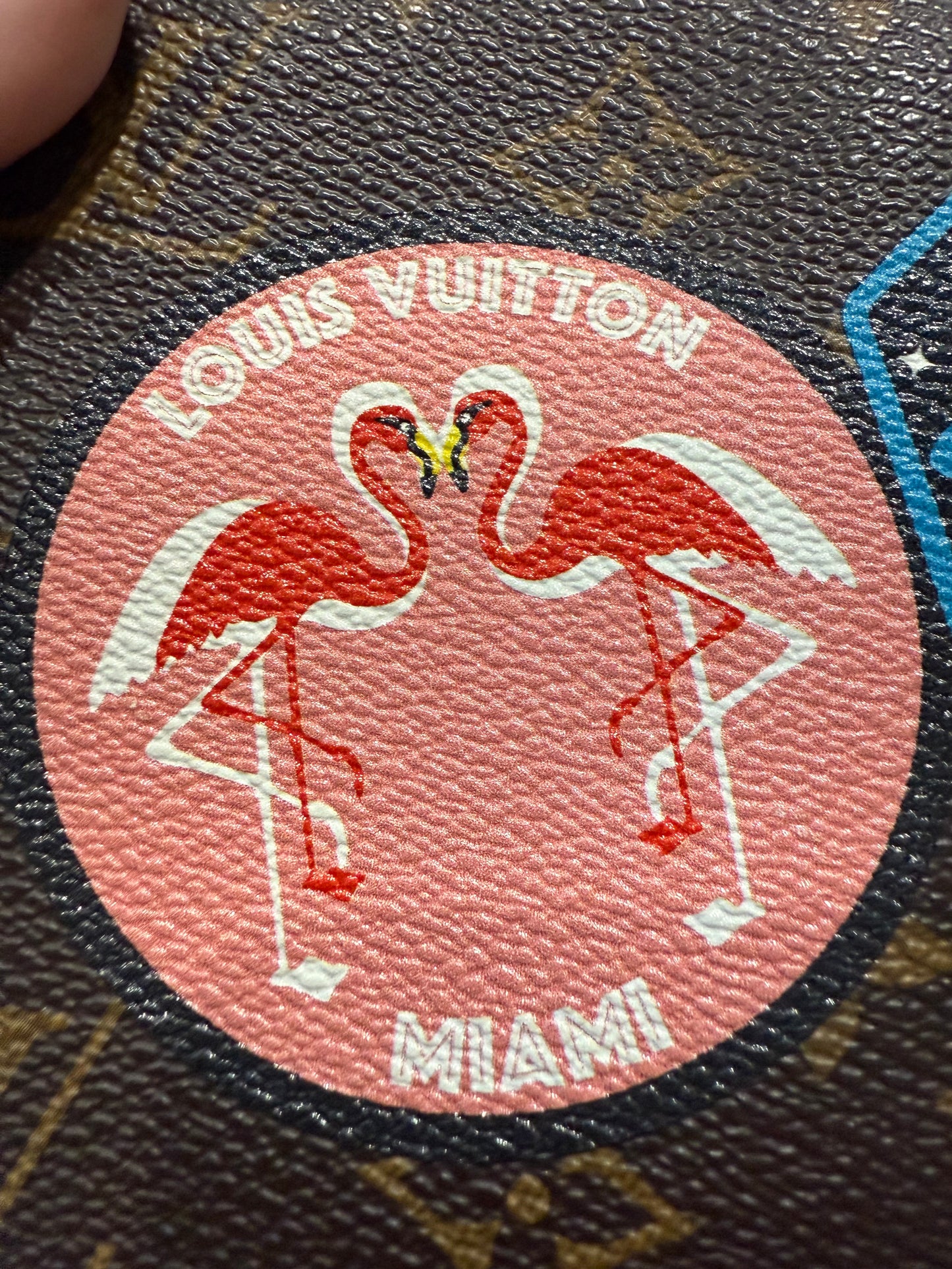 Louis Vuitton LIMITED EDITION World Tour Double Zip Pochette