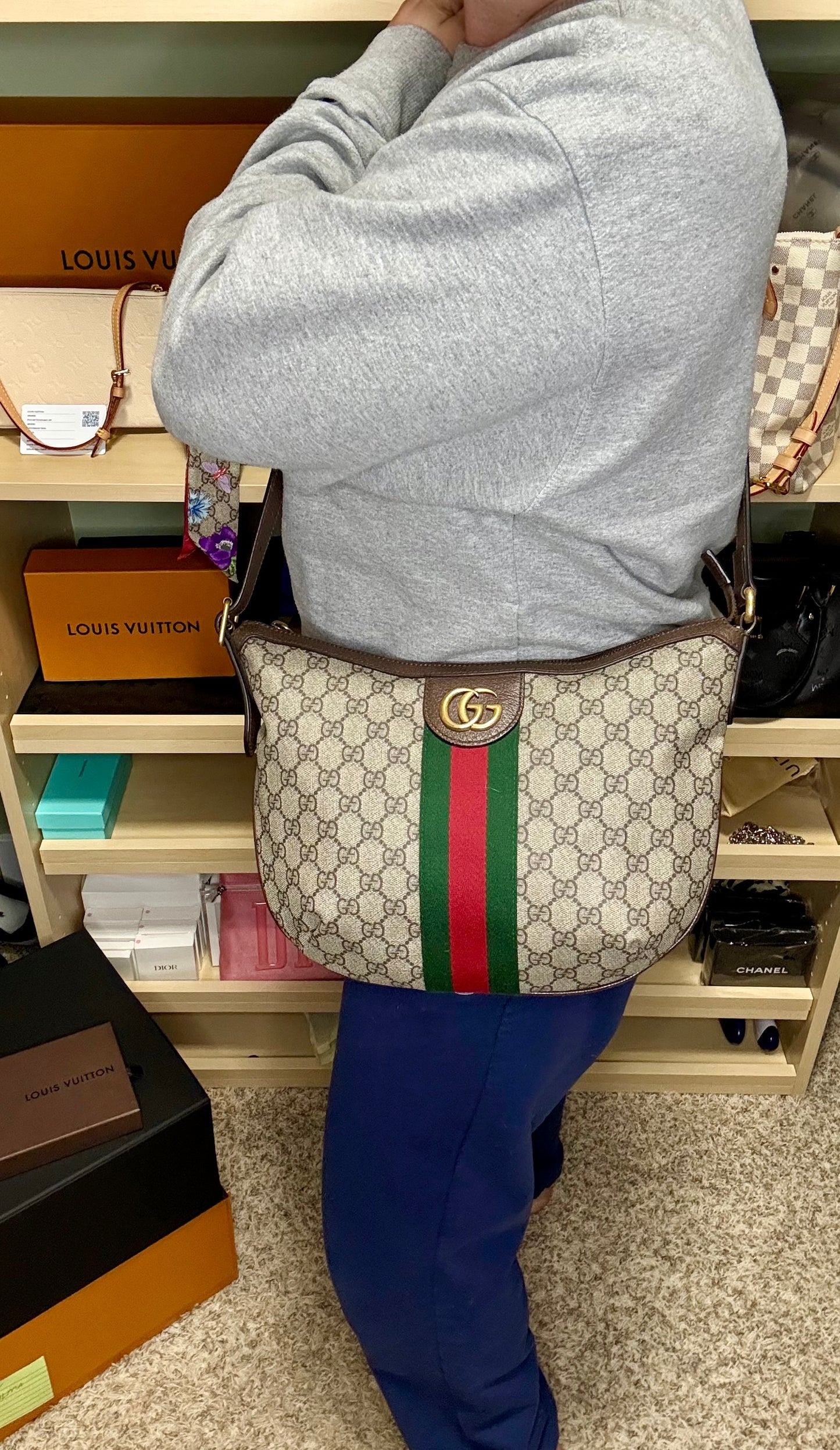 Gucci Supreme Ophidia Half Moon Hobo Bag Small