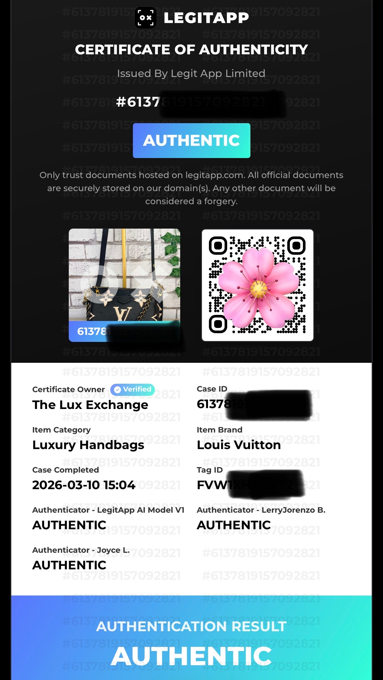 Pre-Owned Louis Vuitton Bi-color Leather Multi Pochette Accessoires