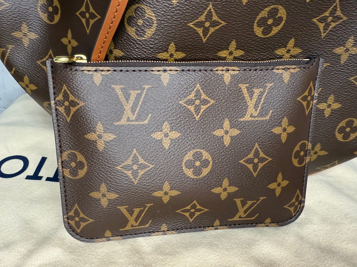 Louis Vuitton Loop Hobo Monogram Reverse with Pouch
