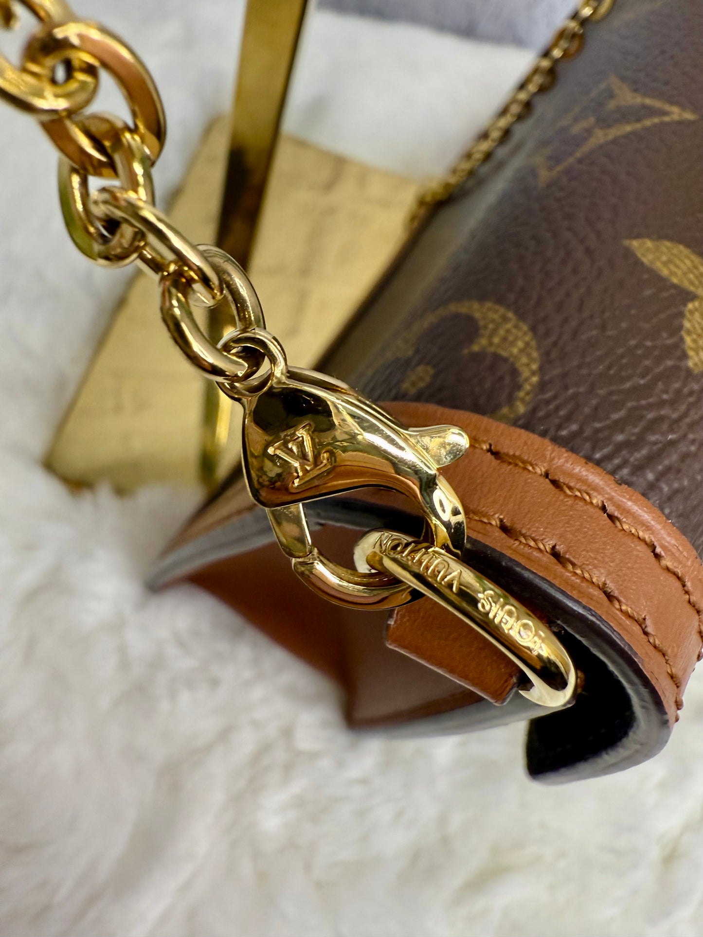 Louis Vuitton Dauphine Chain (WOC)