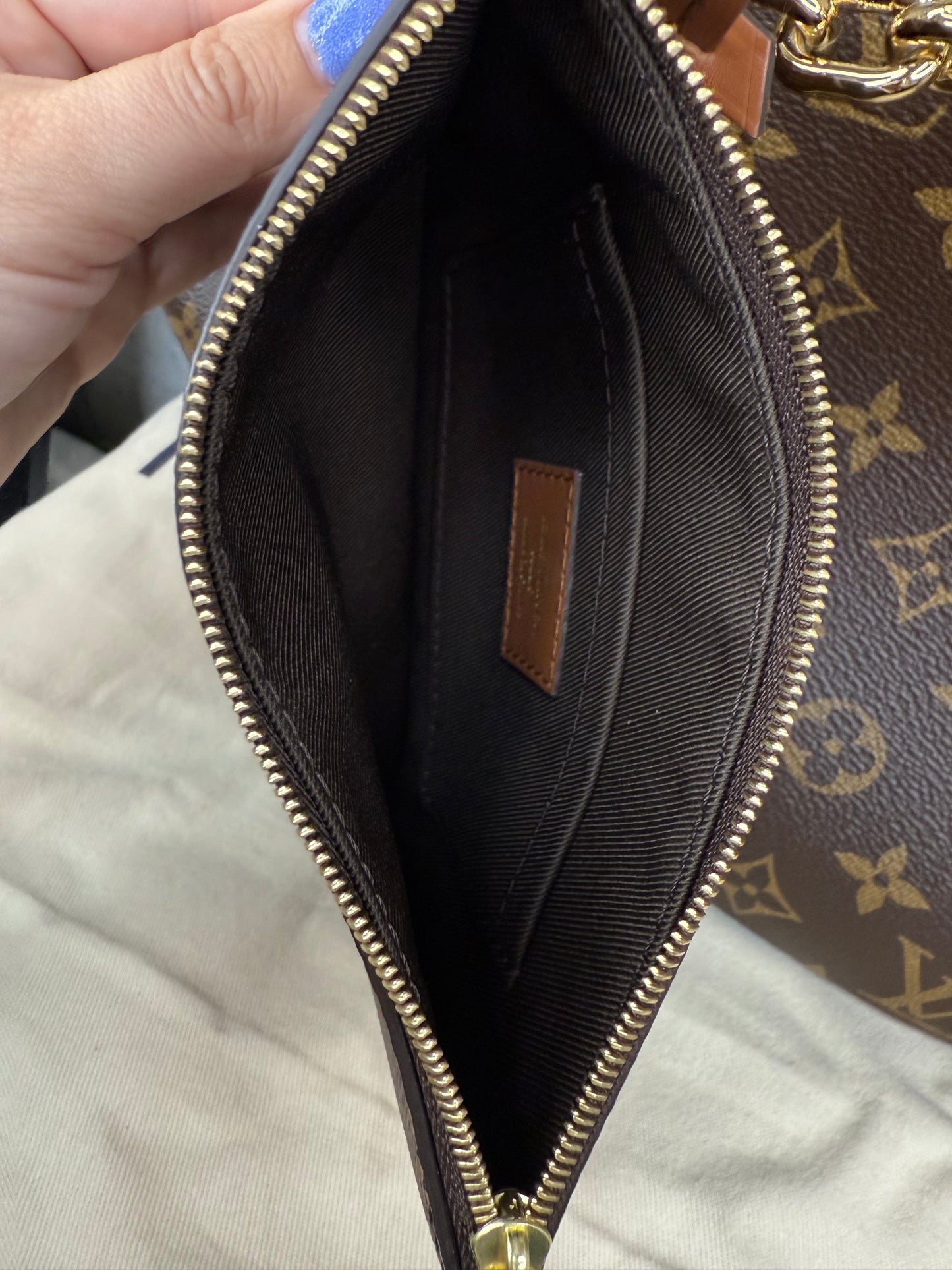 Louis Vuitton Loop Hobo Monogram Reverse with Pouch