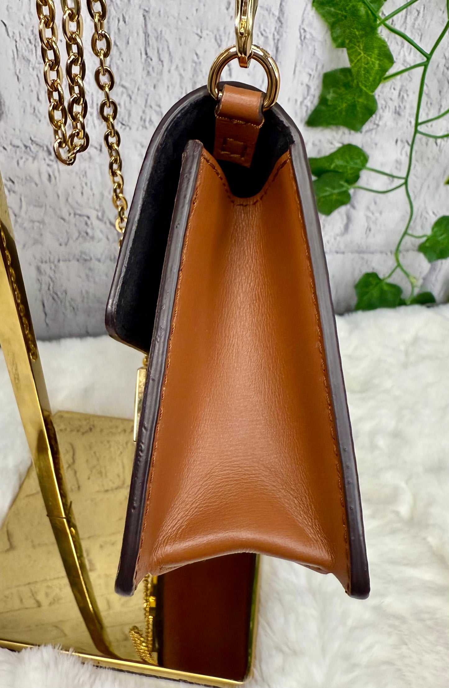 Louis Vuitton Dauphine Chain (WOC)