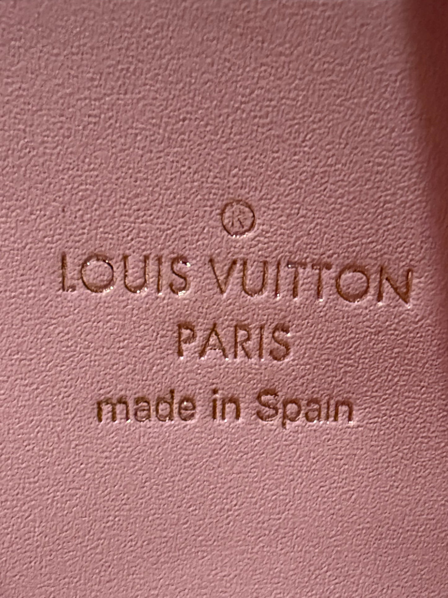 Louis Vuitton LIMITED EDITION World Tour Double Zip Pochette