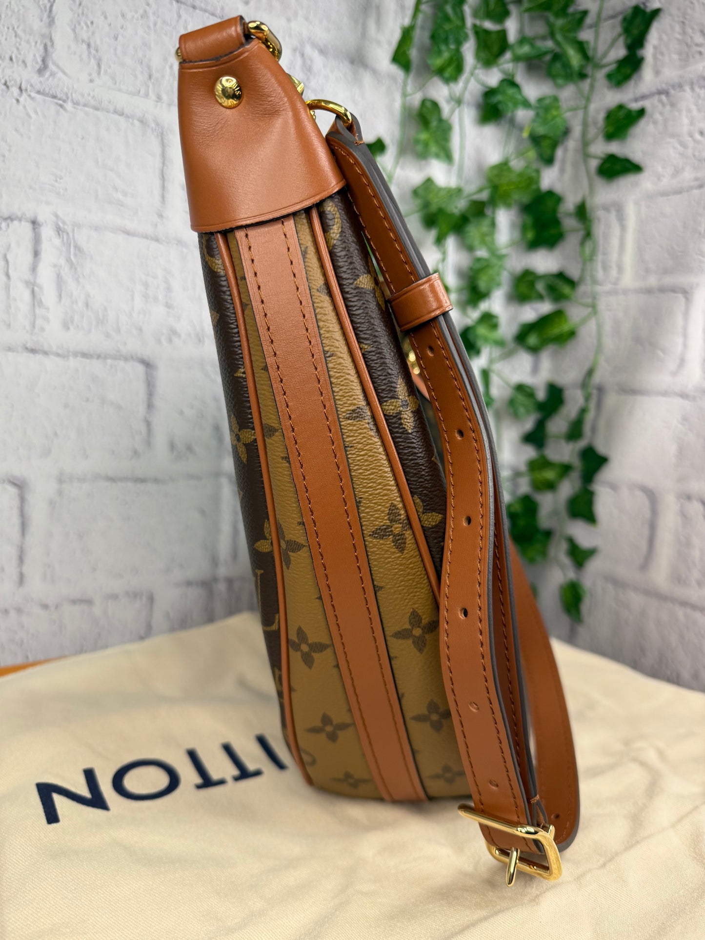 Louis Vuitton Loop Hobo Monogram Reverse with Pouch