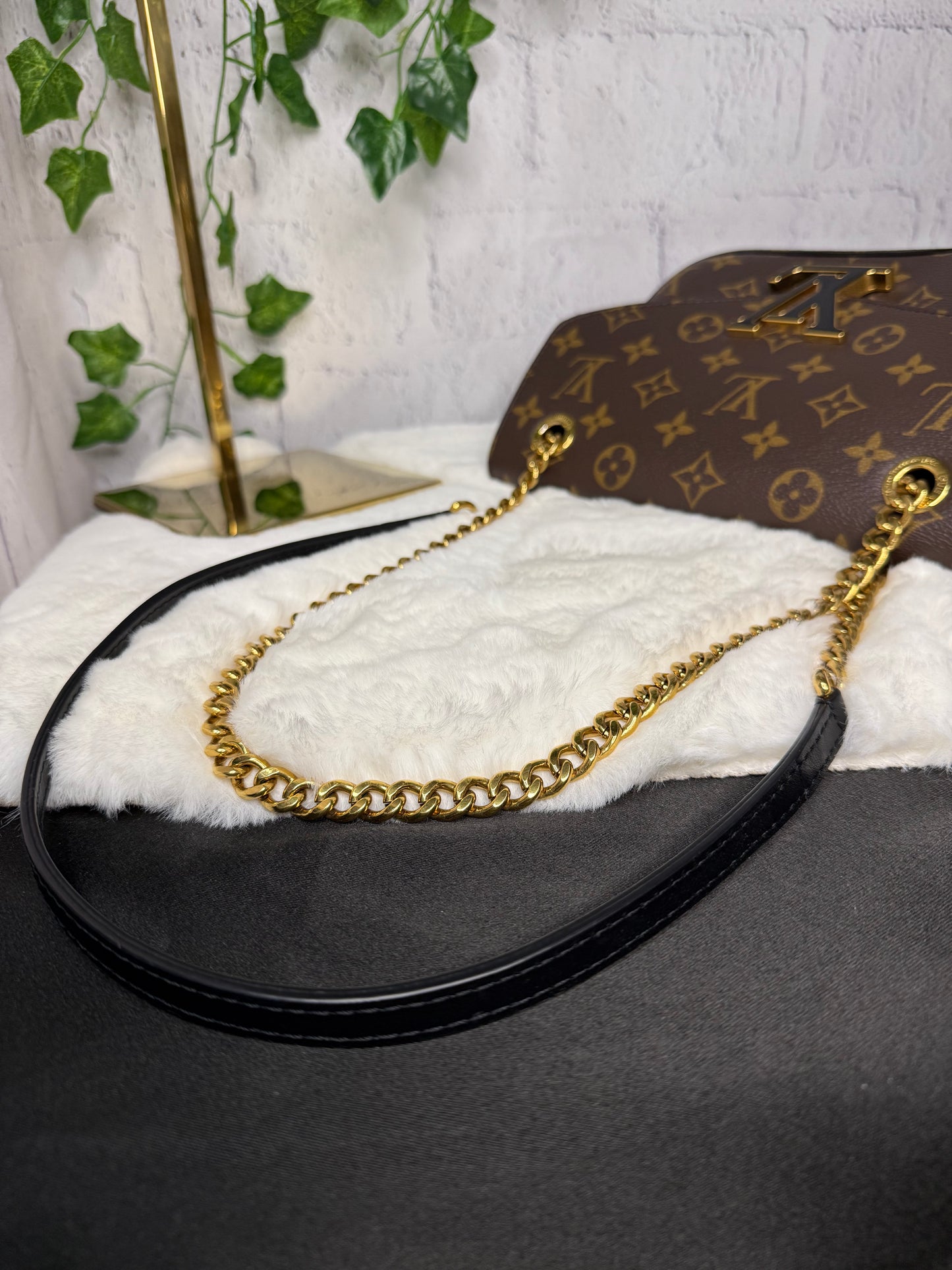 Louis Vuitton Monogram Passy