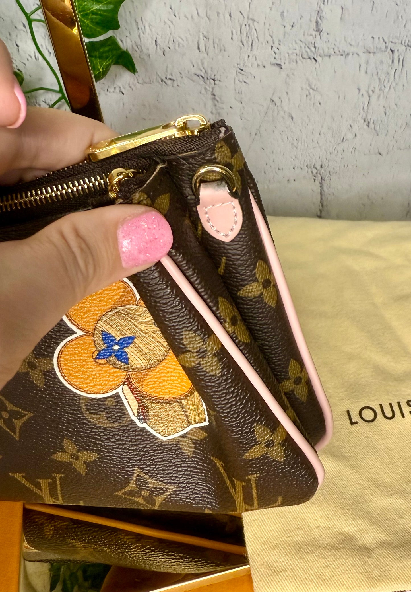 Louis Vuitton LIMITED EDITION World Tour Double Zip Pochette