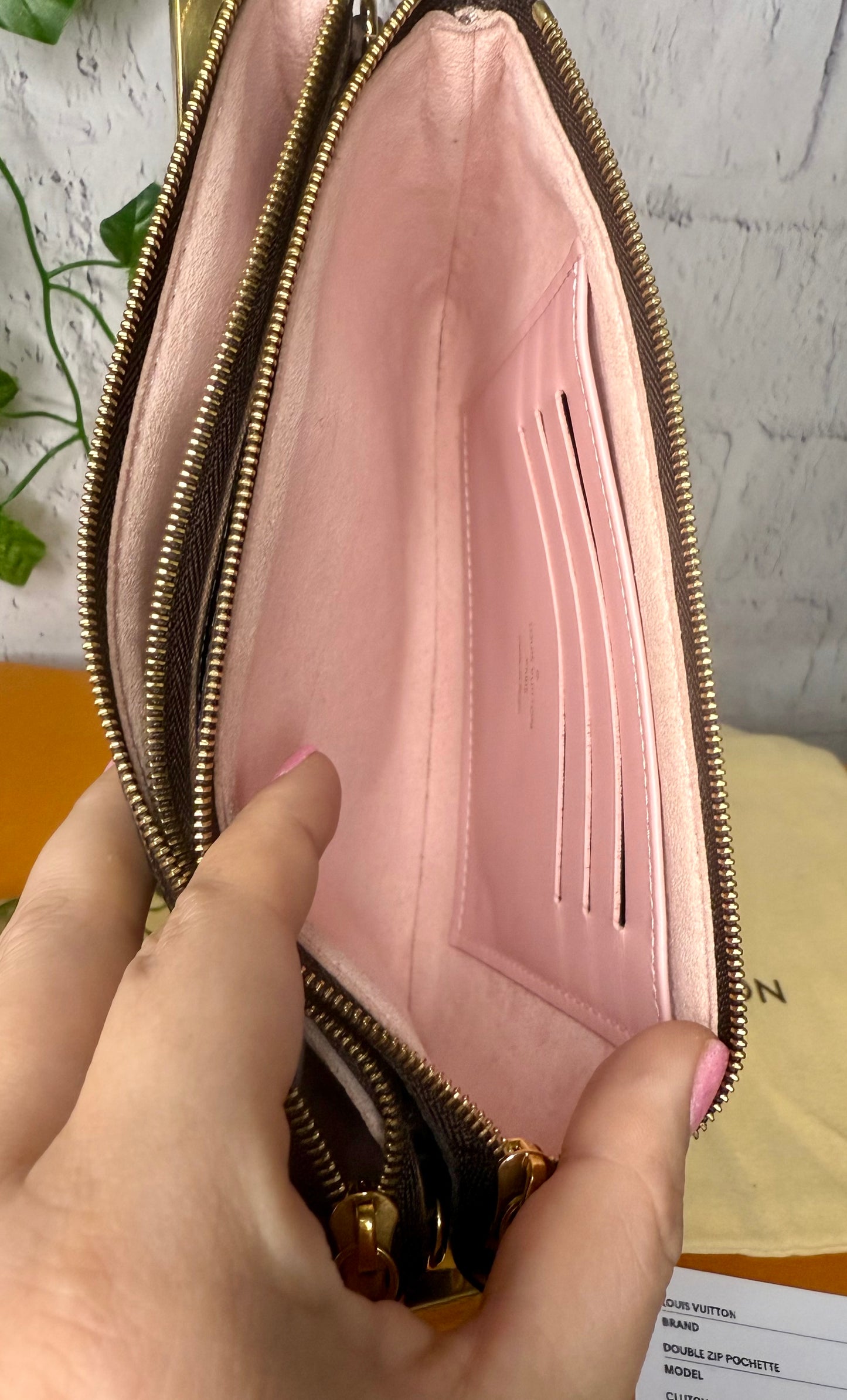 Louis Vuitton LIMITED EDITION World Tour Double Zip Pochette