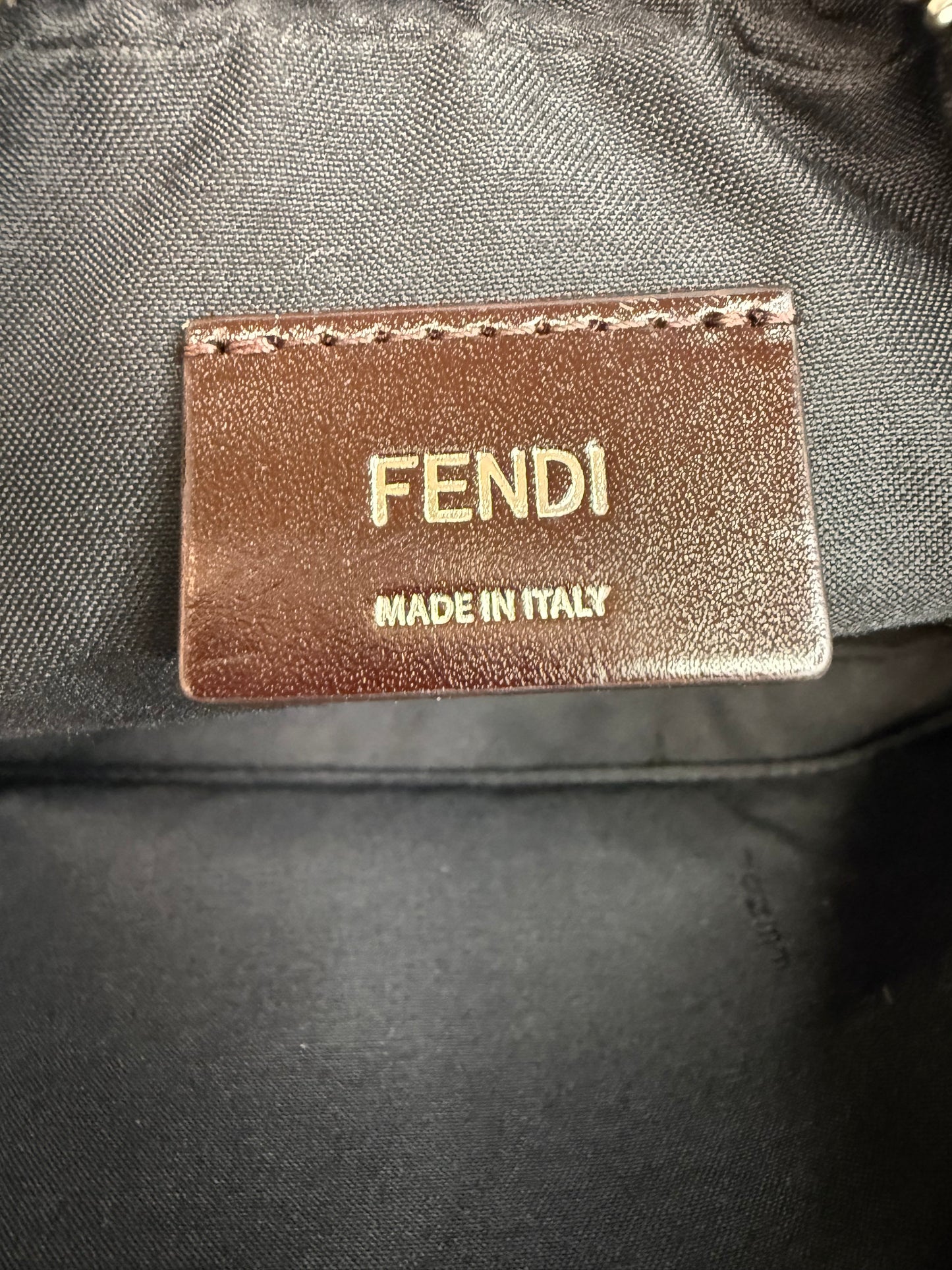 FENDI FF Logo Crossbody Camera Bag
