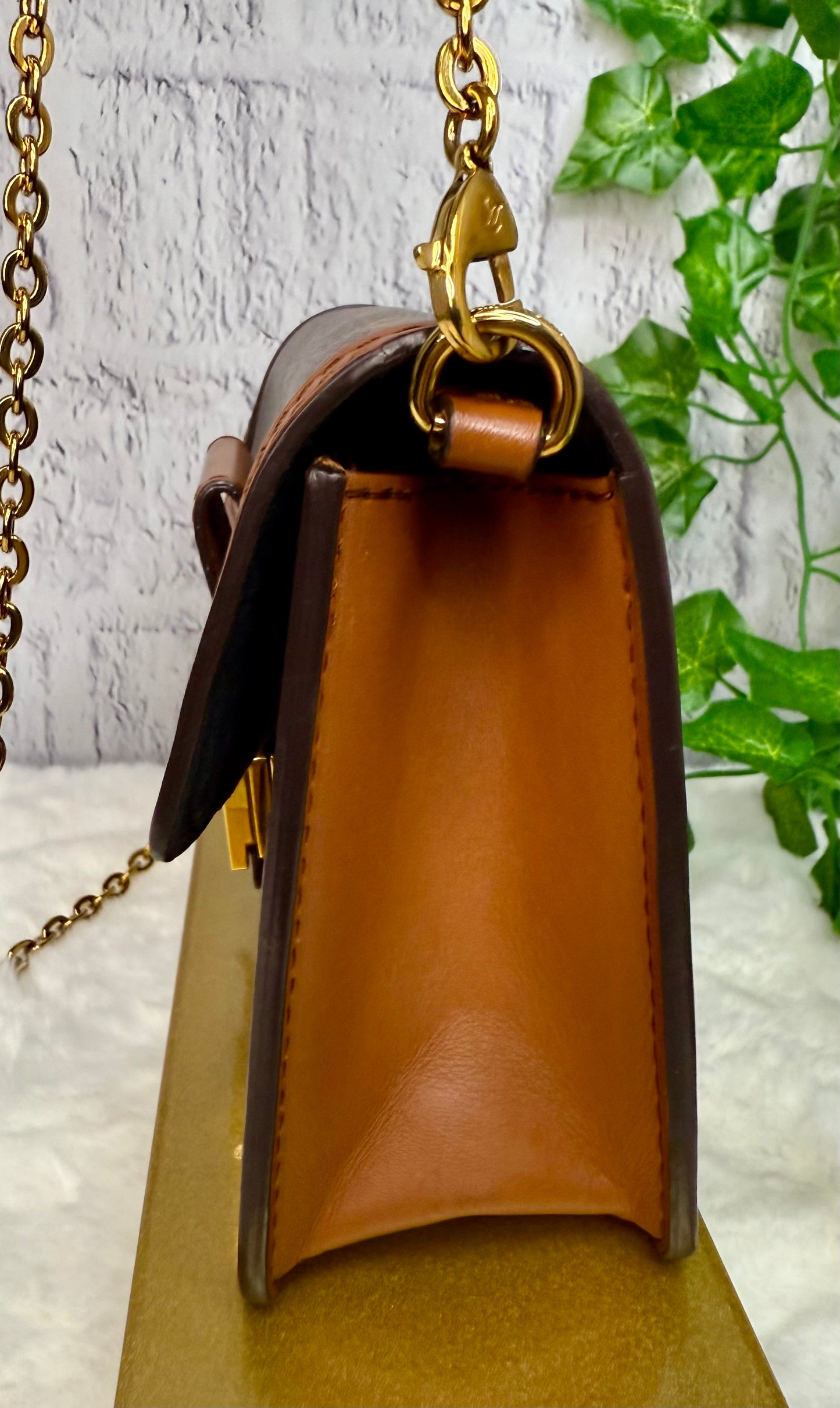Louis Vuitton Reverse Monogram Dauphine Wallet On Chain
