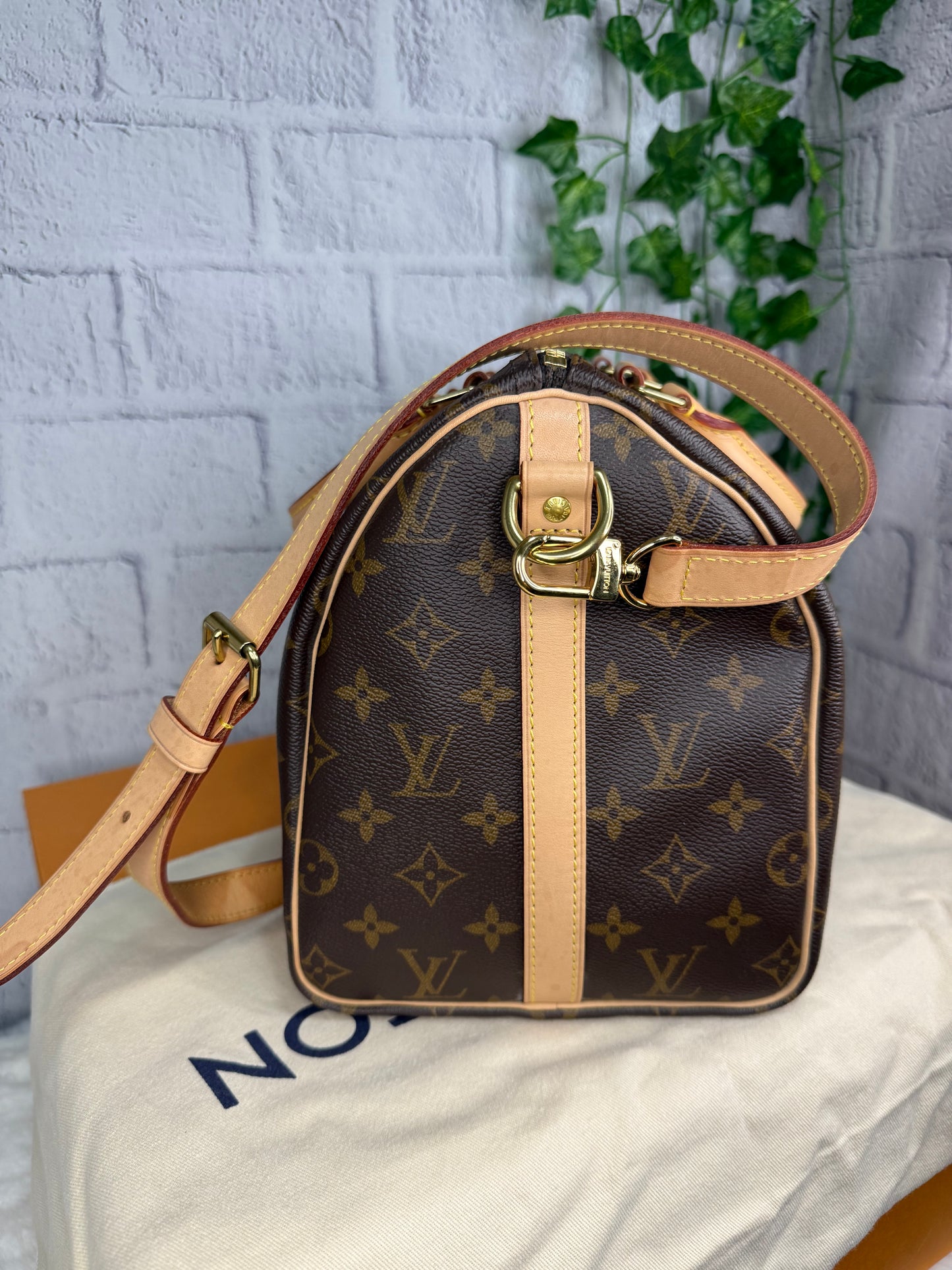 Louis Vuitton Speedy Bandouliere 30 Monogram