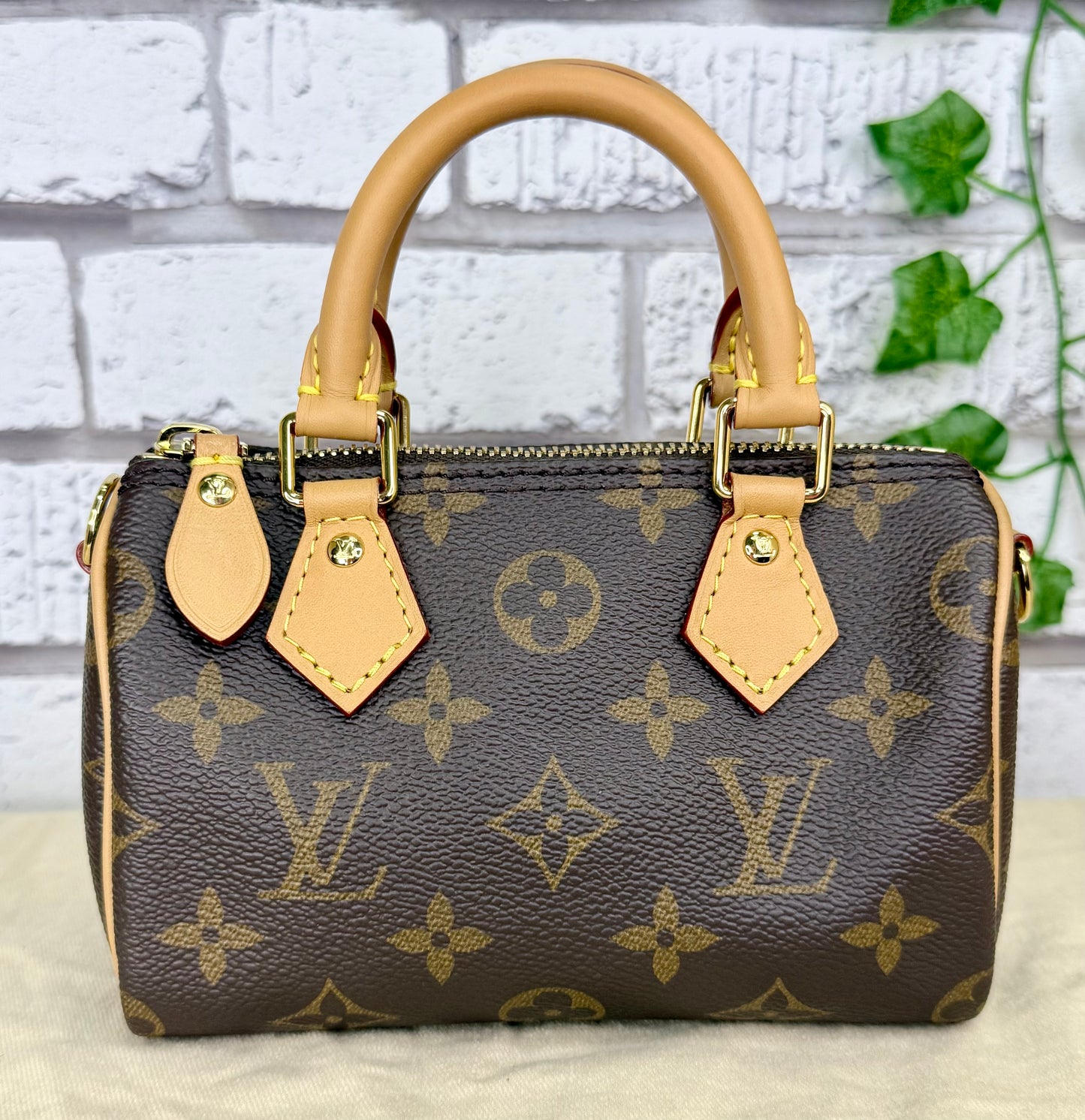 Louis Vuitton Speedy Nano (Monogram) - Excellent