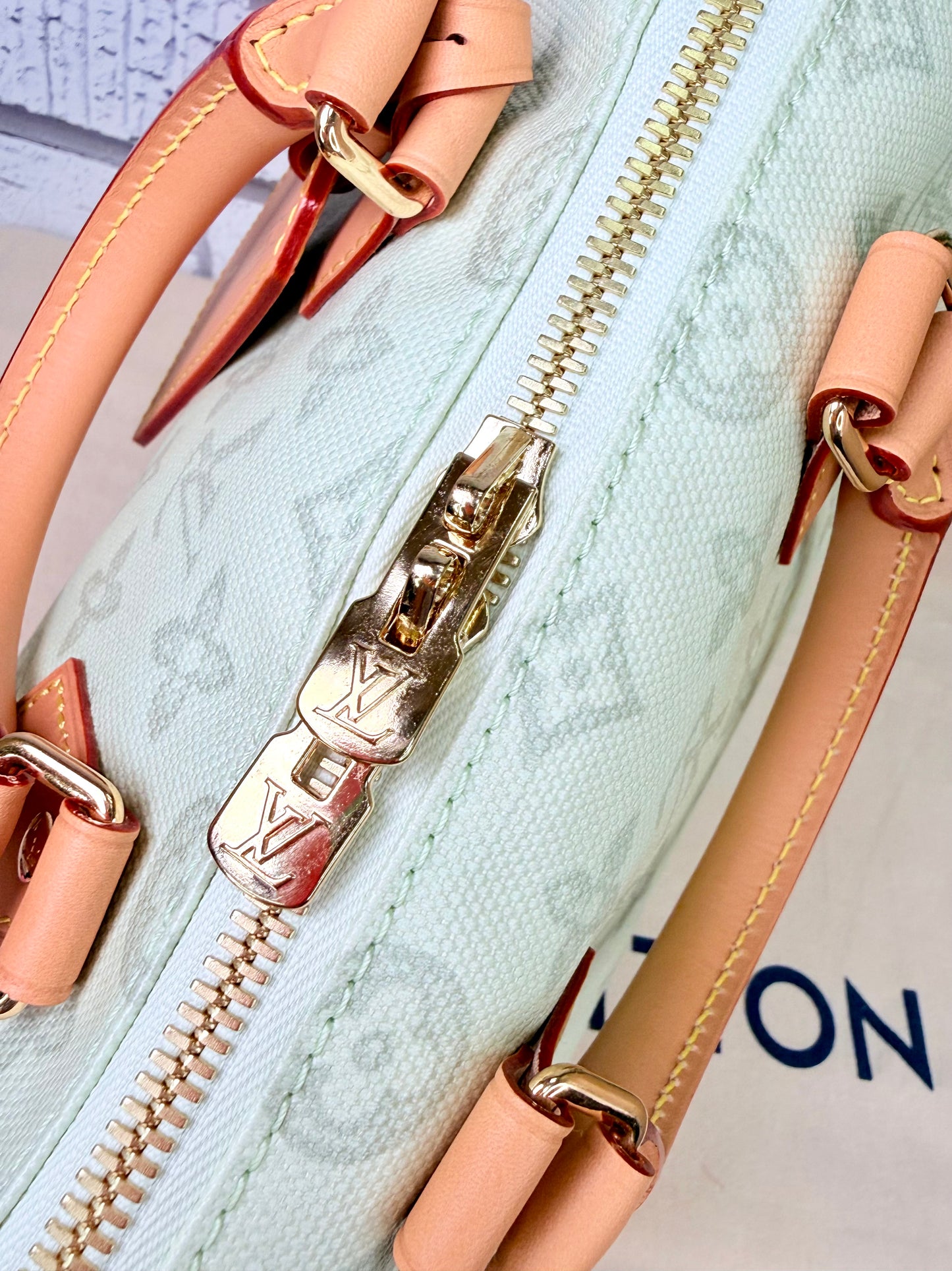 Louis Vuitton Limited Edition Speedy 20 Bandouliere (Green Asnieres)