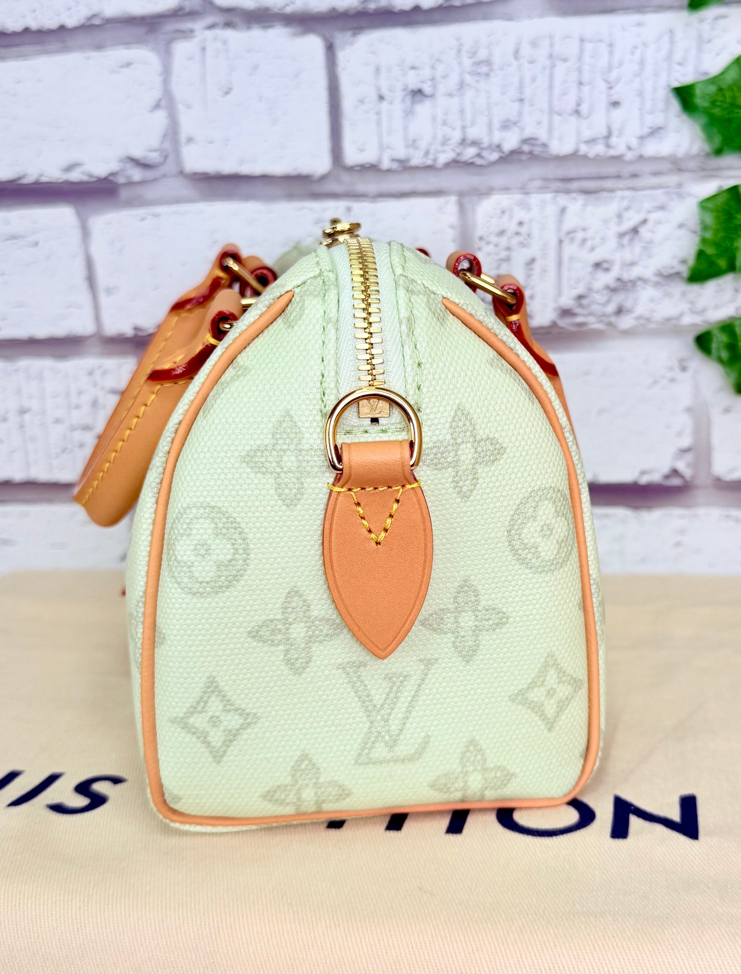 Louis Vuitton Limited Edition Speedy 20 Bandouliere (Green Asnieres)