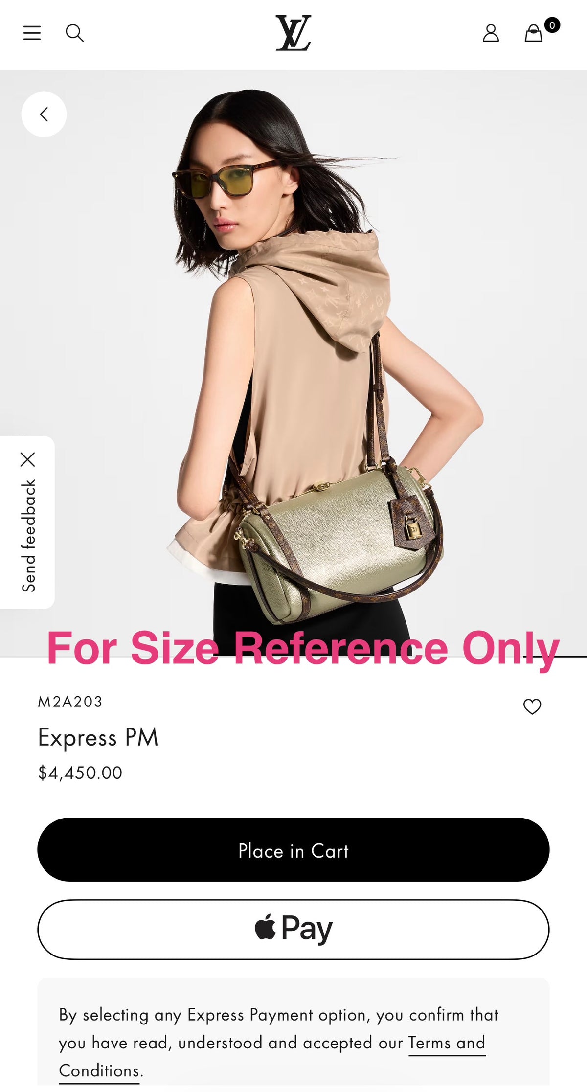 Louis Vuitton Express PM (Platinum - Champagne Gold Metallic) - Like New
