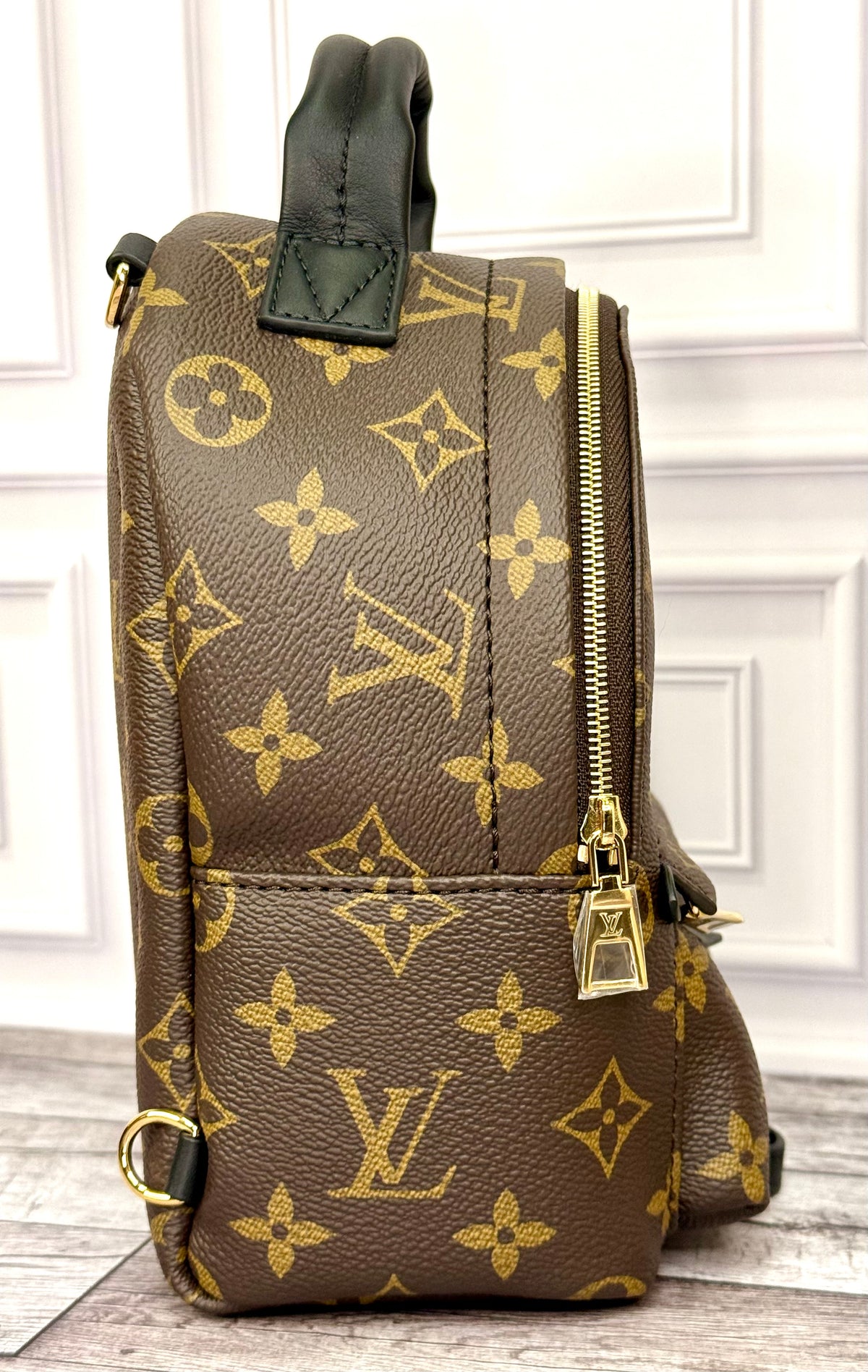 Louis Vuitton Palm Springs Mini (Monogram) - New