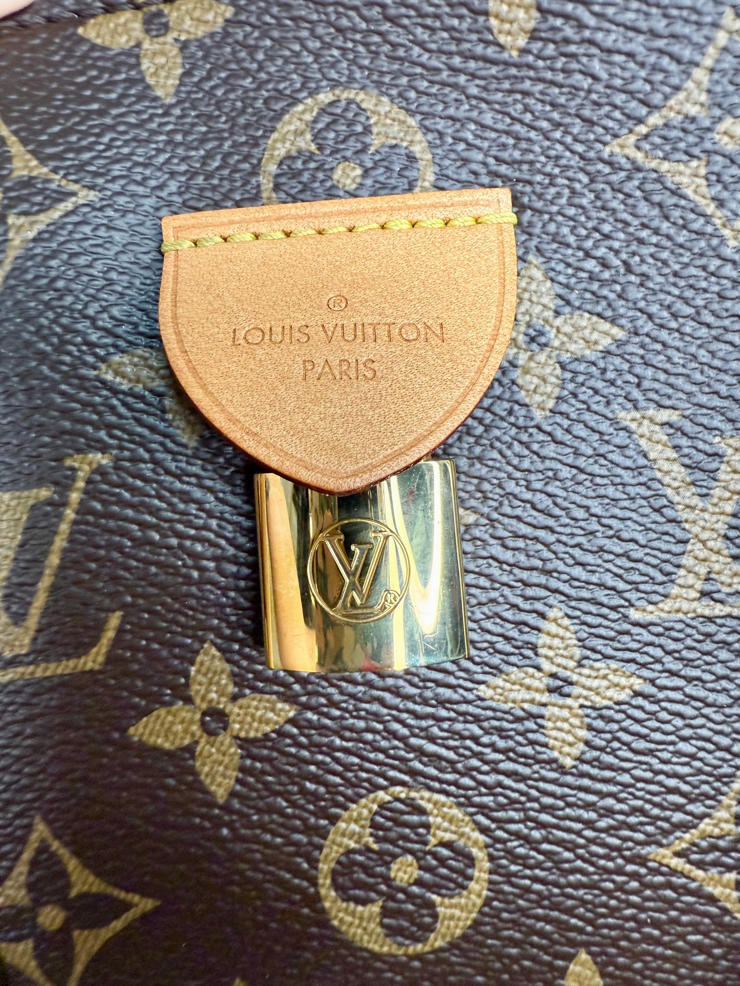 Louis Vuitton Monogram Rivoli MM