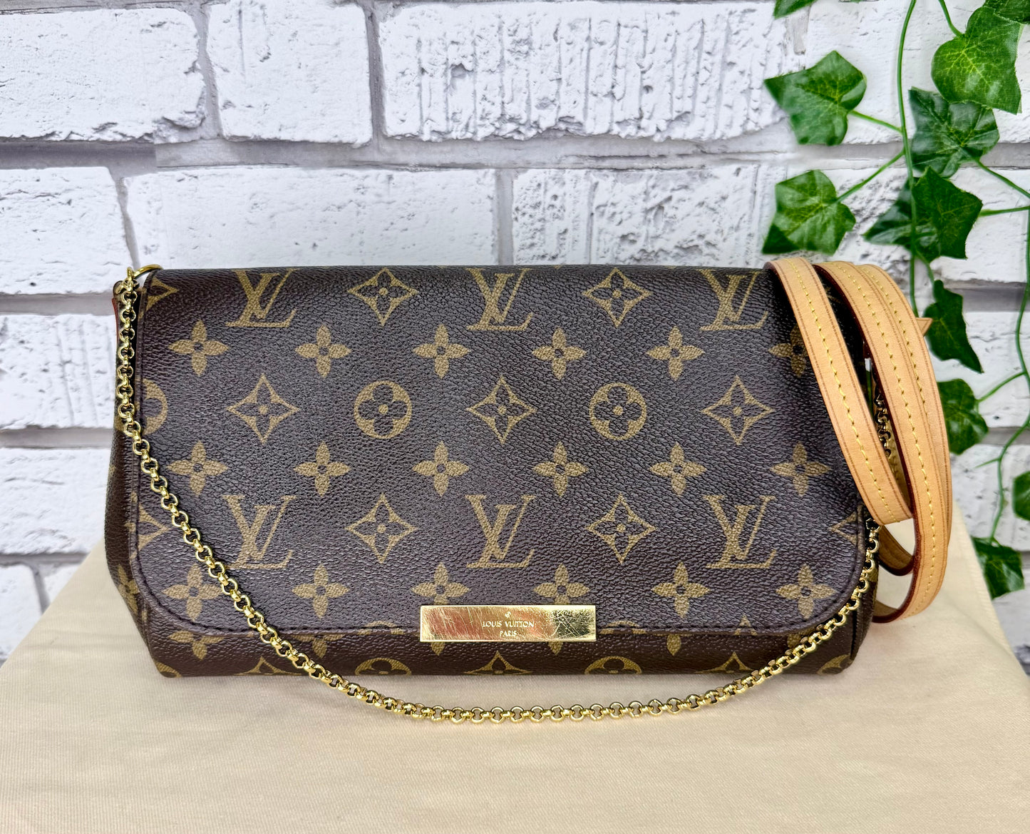 Louis Vuitton Favorite MM (Monogram) - Great/Excellent