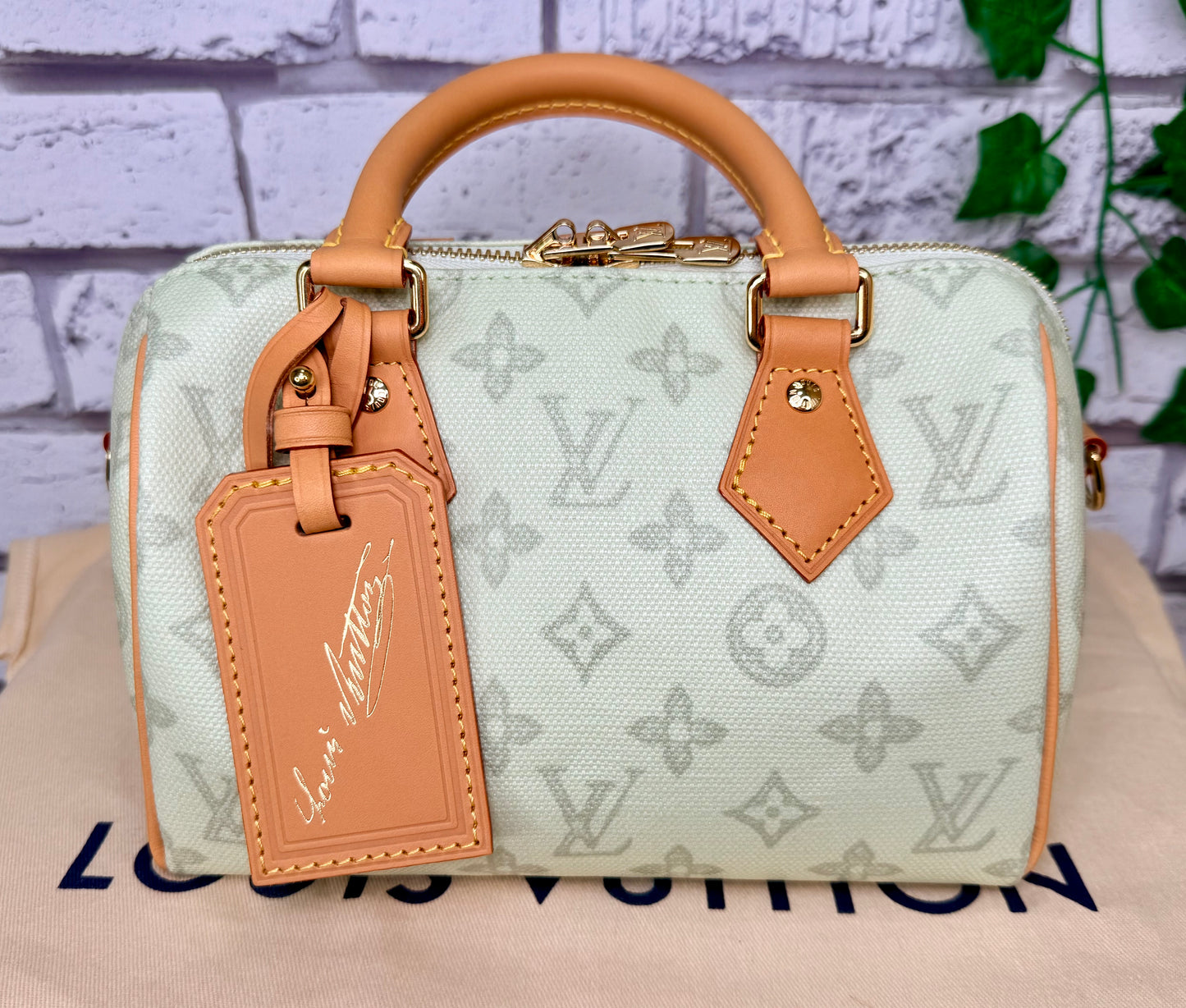 Louis Vuitton Limited Edition Speedy 20 Bandouliere (Green Asnieres)