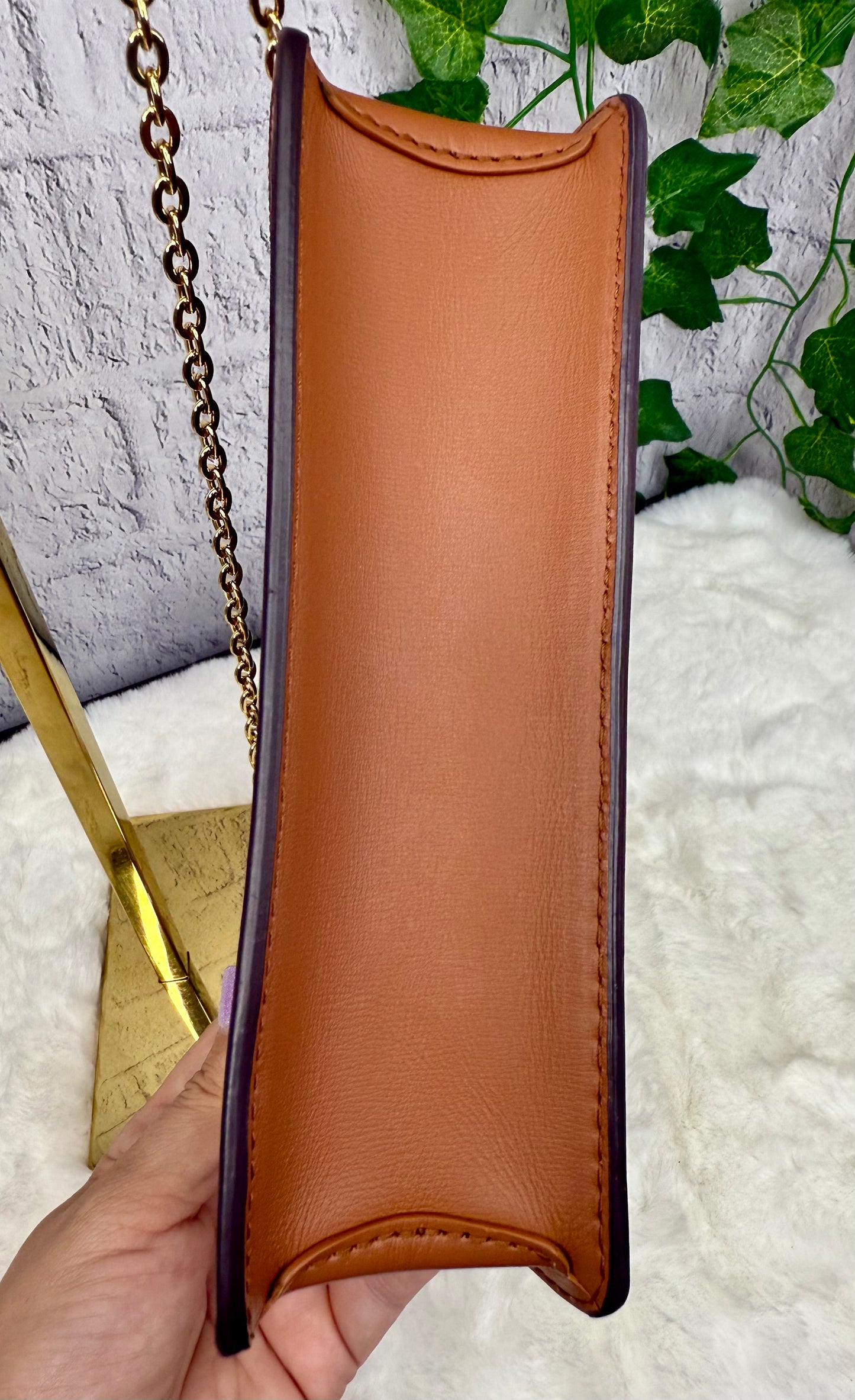 Louis Vuitton Dauphine Chain (WOC)