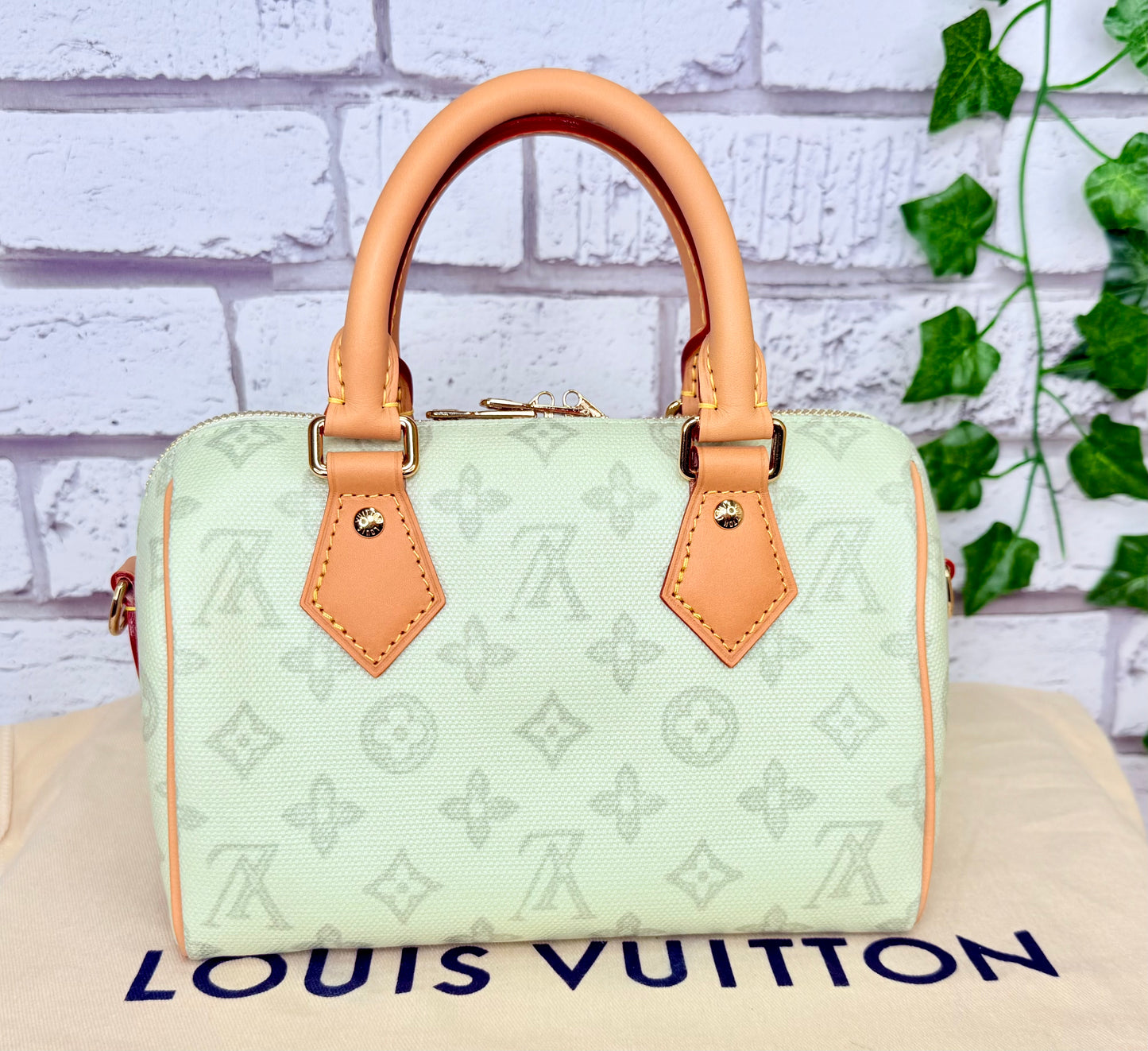 Louis Vuitton Limited Edition Speedy 20 Bandouliere (Green Asnieres)