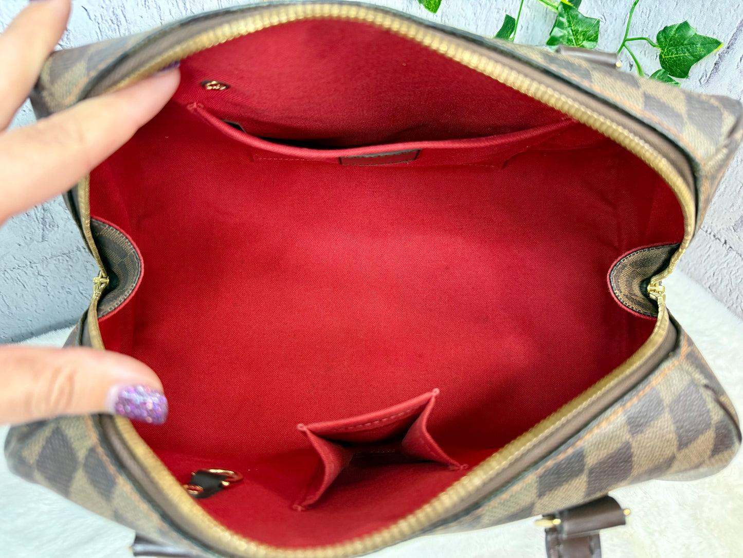 Louis Vuitton Damier Ebene Ribera