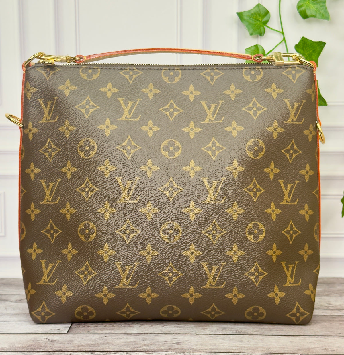 Louis Vuitton Multipass (Monogram) - New