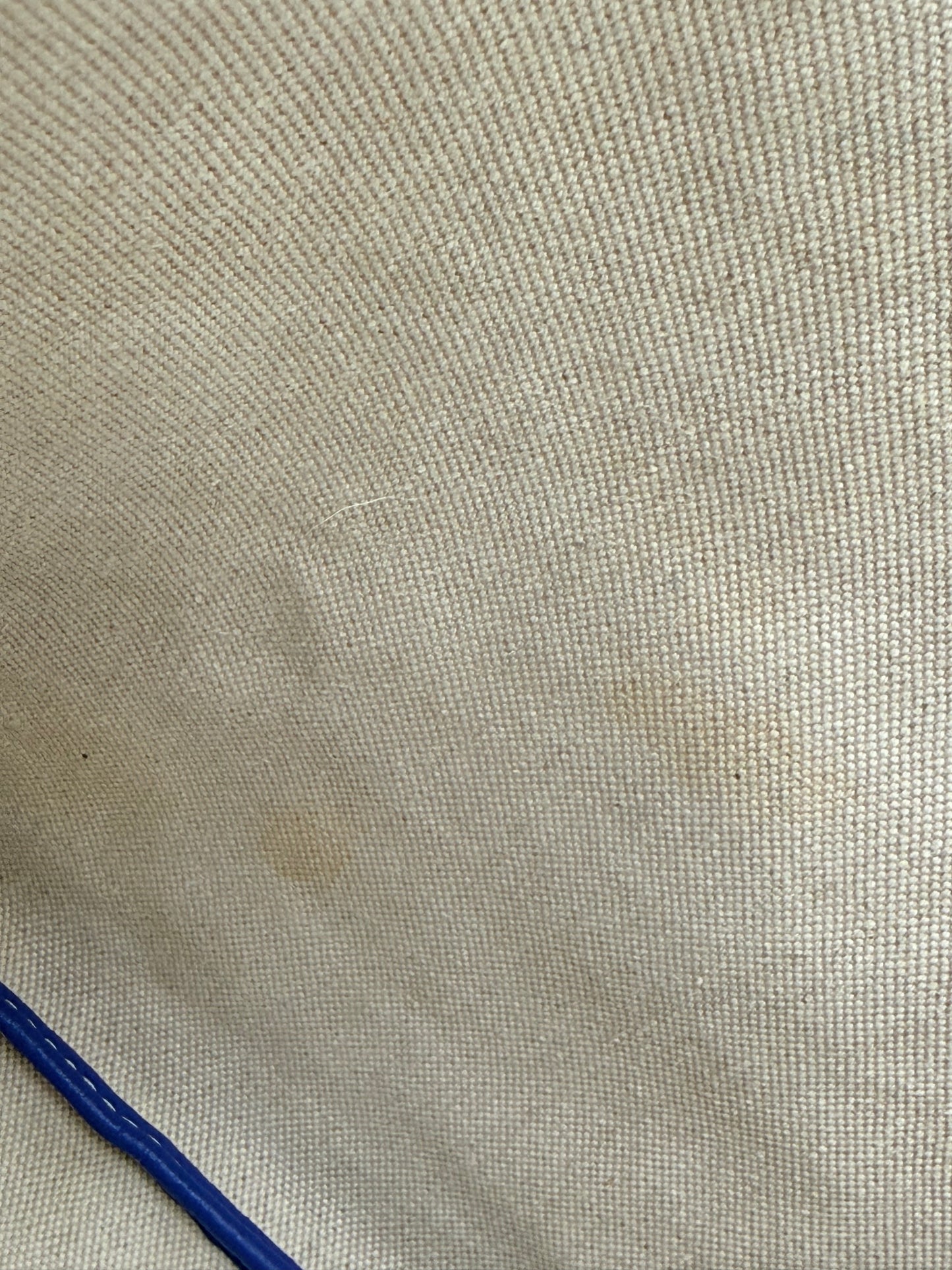 Preowned GOYARD St Louis PM Tote w/ Pouch - Sky Blue