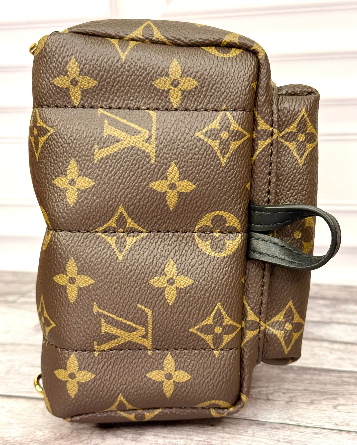 Louis Vuitton Palm Springs Mini (Monogram) - New
