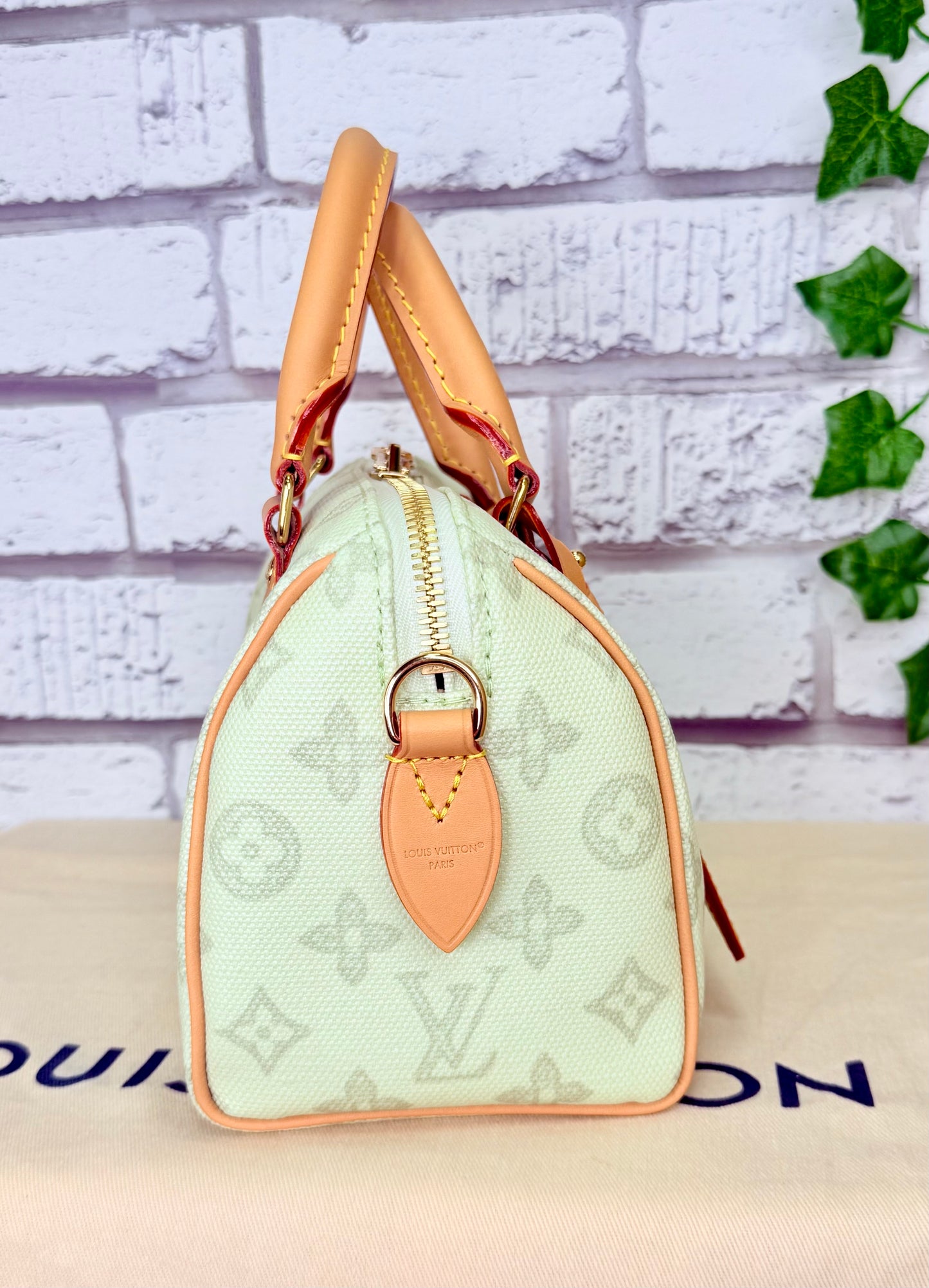 Louis Vuitton Limited Edition Speedy 20 Bandouliere (Green Asnieres)