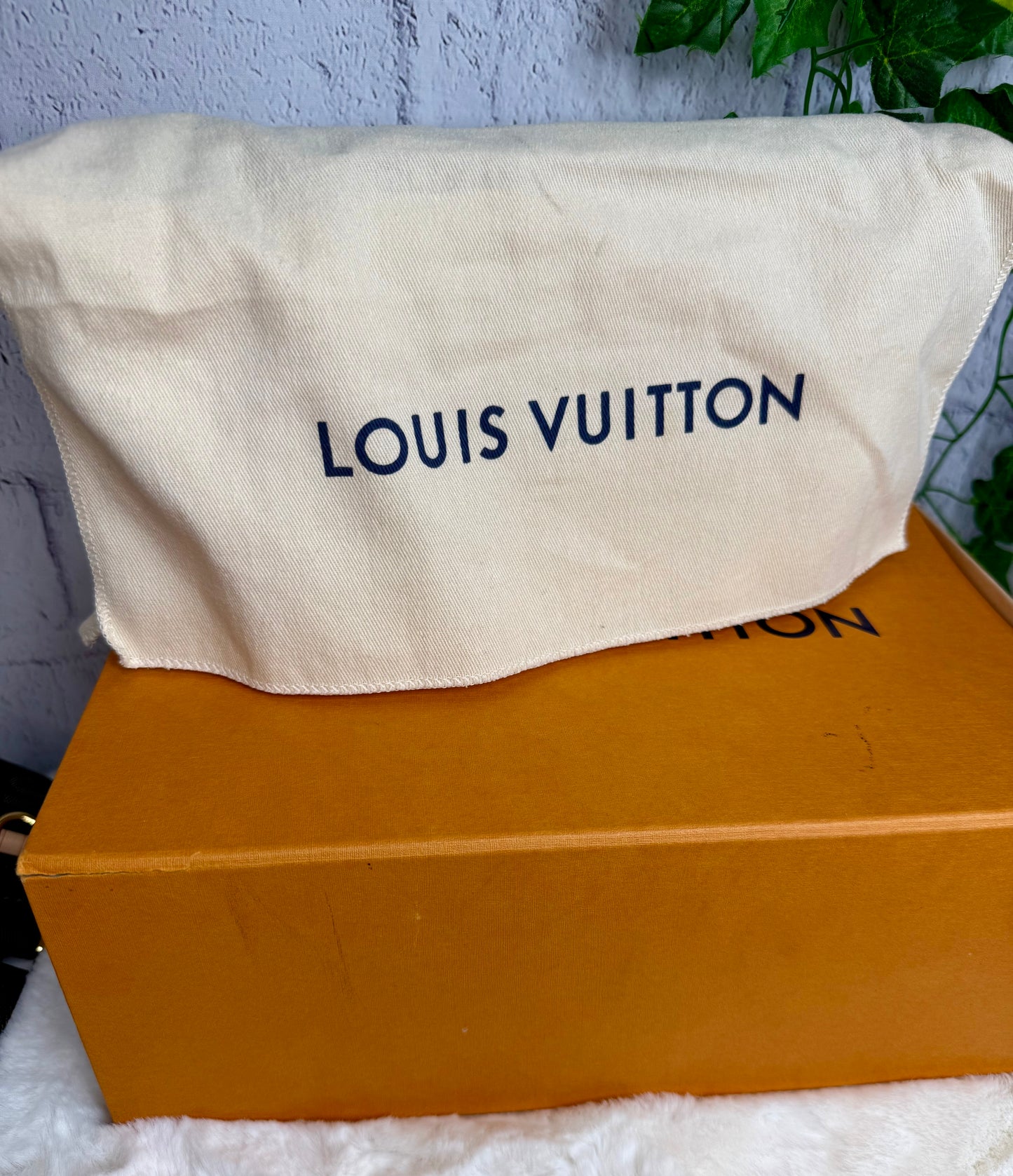 Louis Vuitton Monogram Multi Pochette Accessories Bag