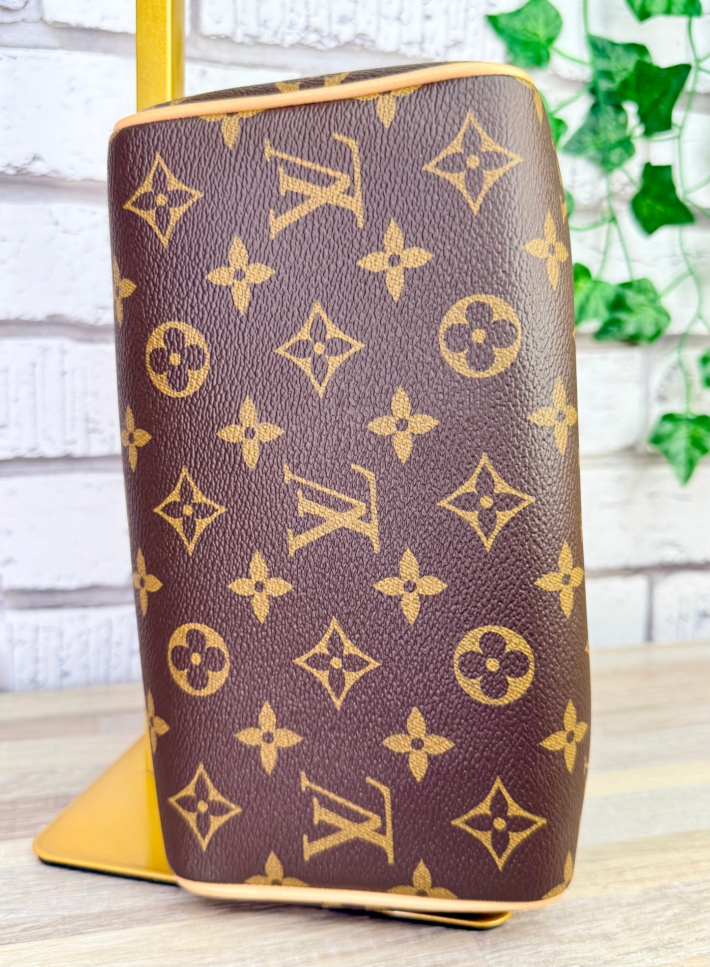 Louis Vuitton Monogram Speedy 20 (Black)