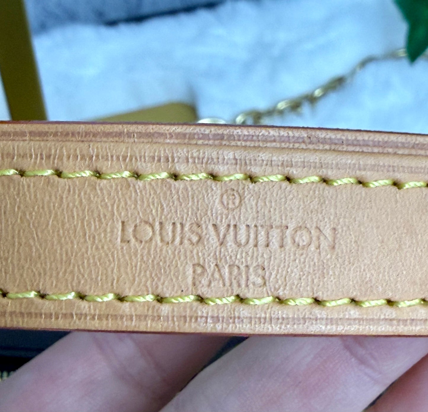 Louis Vuitton Loop Bag Monogram