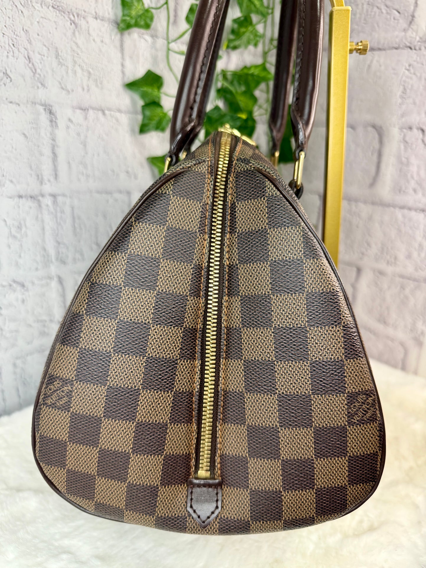 Louis Vuitton Damier Ebene Ribera