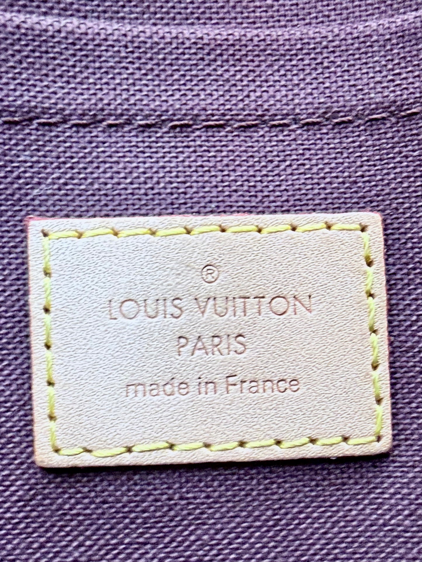 Louis Vuitton Favorite MM (Monogram) - Great/Excellent