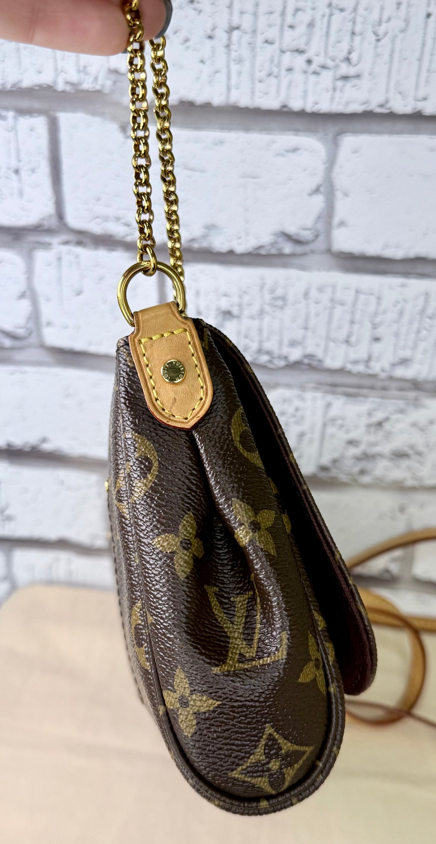 Louis Vuitton Favorite MM (Monogram) - Great/Excellent