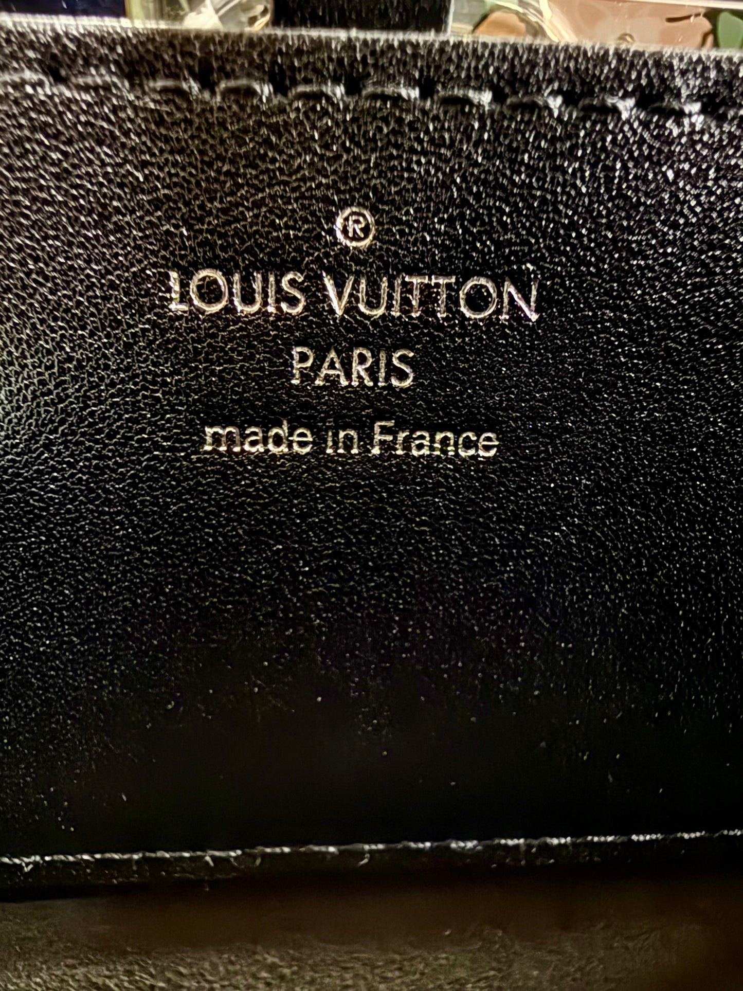 Louis Vuitton Wild At Heart Twist PM