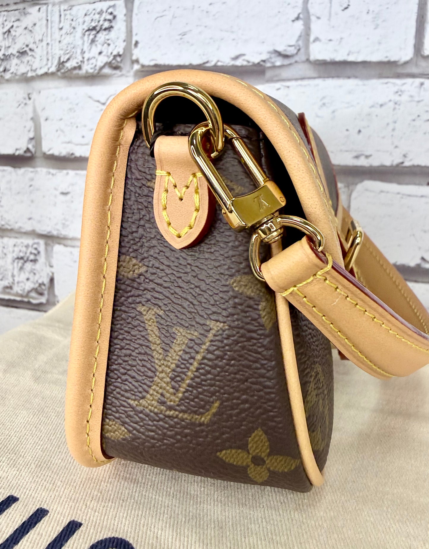 Louis Vuitton Nano Diane (Monogram) - Like New
