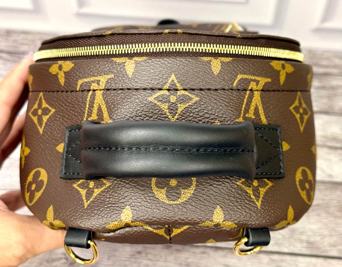 Louis Vuitton Palm Springs Mini (Monogram) - New