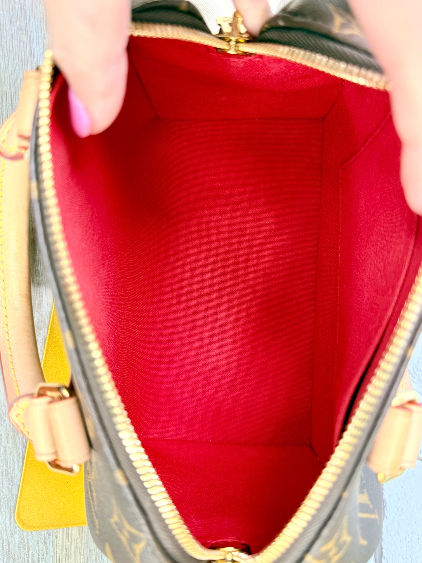 Louis Vuitton Monogram Speedy 20 (Black)