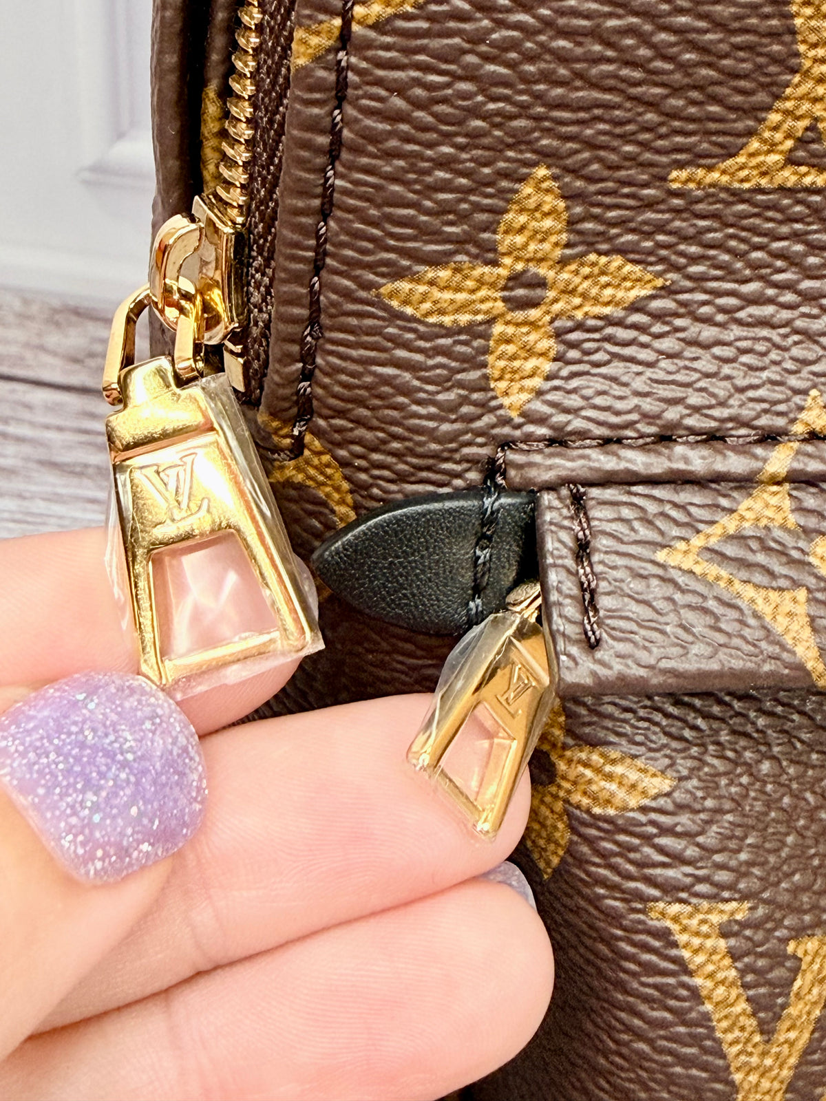 Louis Vuitton Palm Springs Mini (Monogram) - New