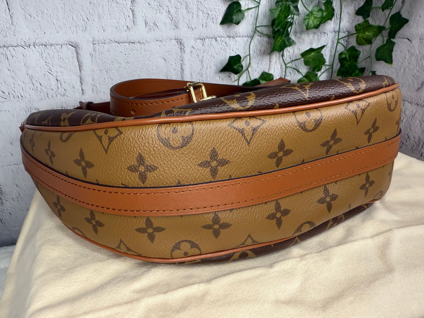 Louis Vuitton Loop Hobo Monogram Reverse with Pouch