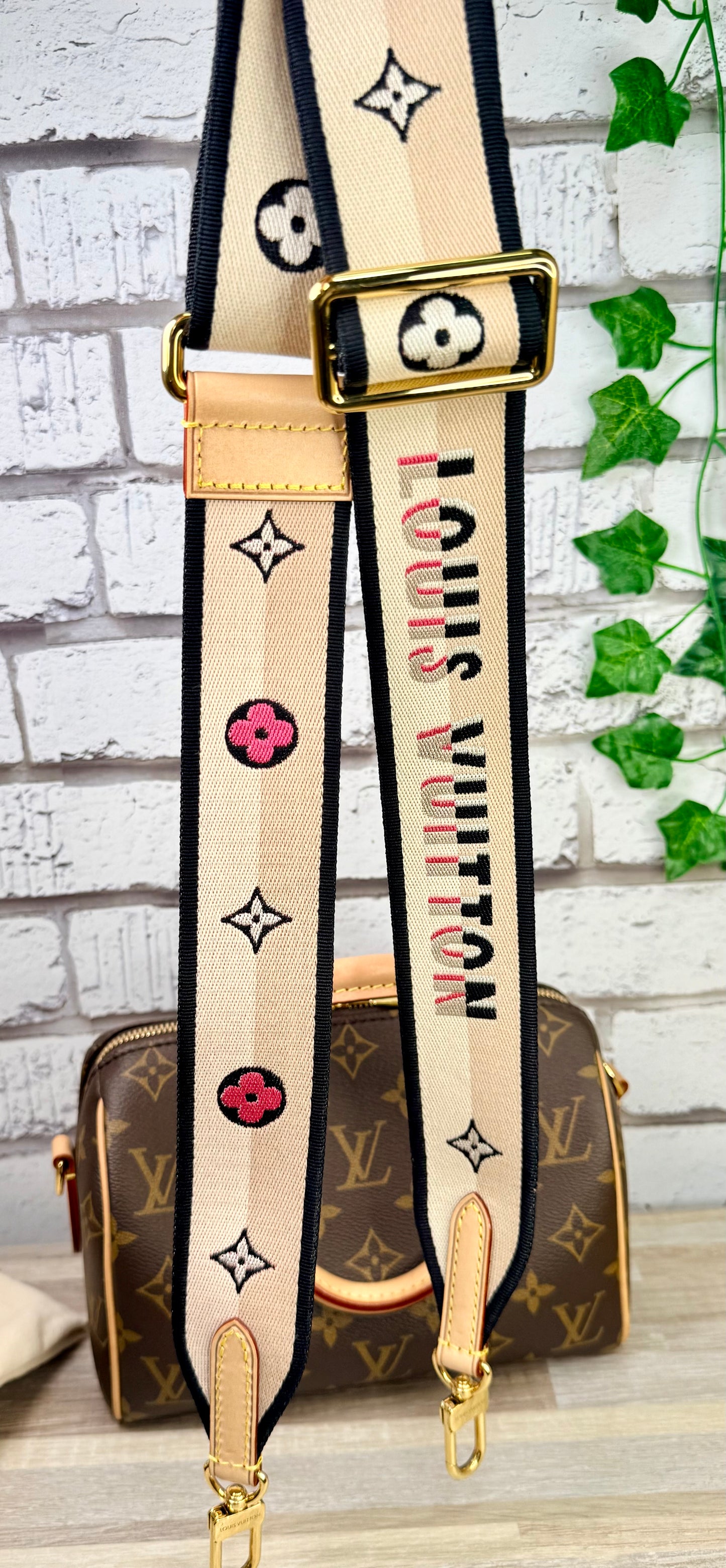 Louis Vuitton Monogram Speedy 20 (Black)