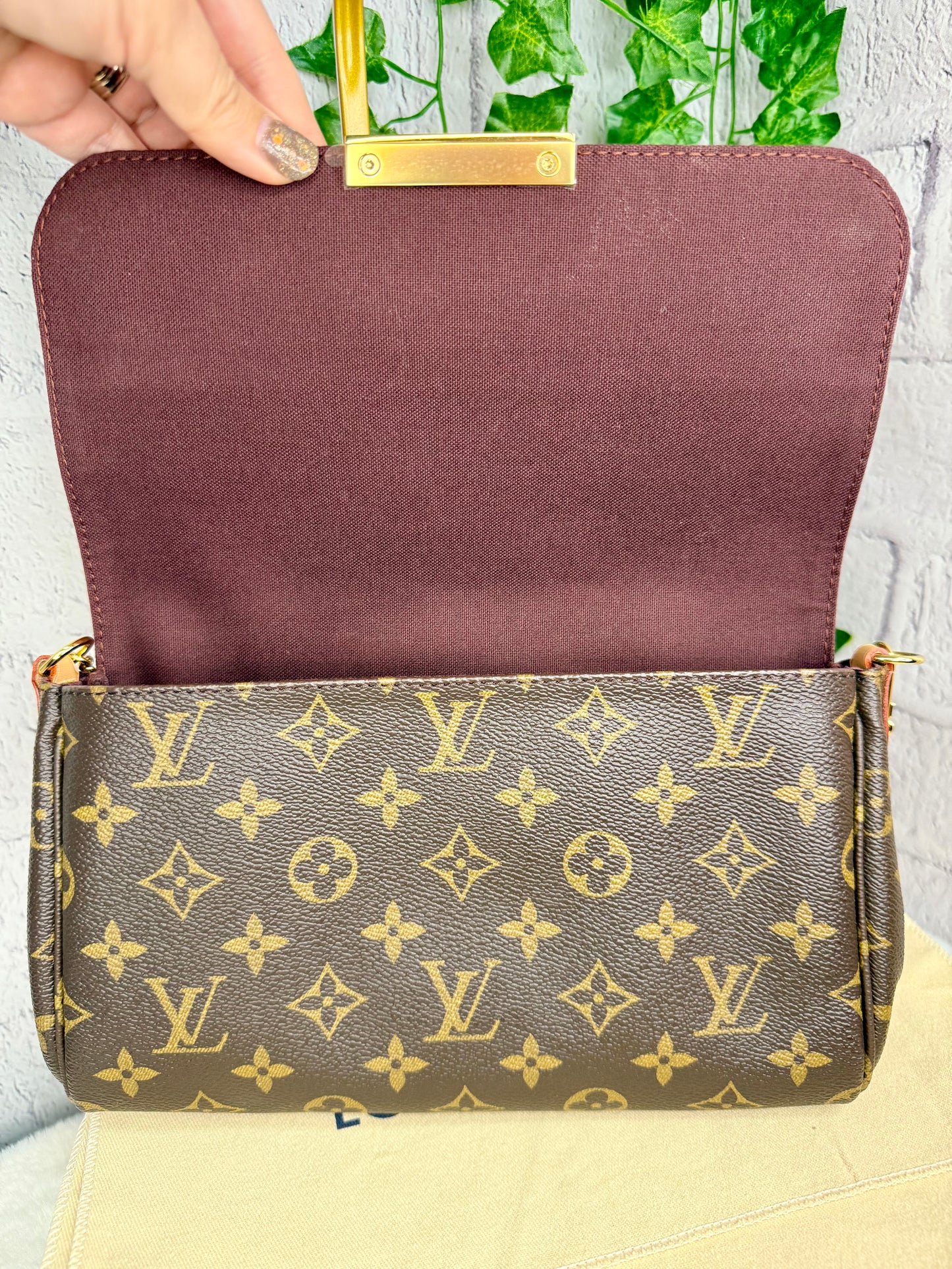 Louis Vuitton Monogram Favorite MM