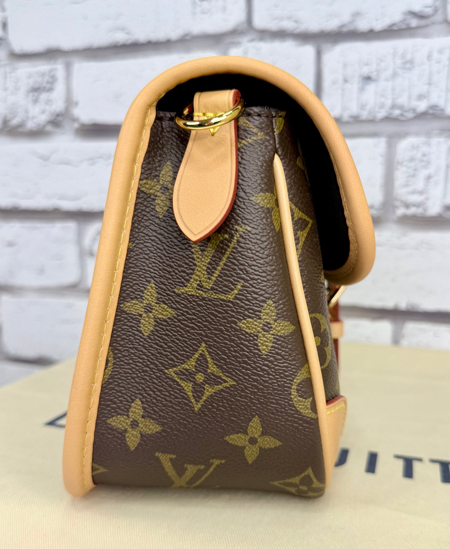 Louis Vuitton Diane (Monogram) - Pristine